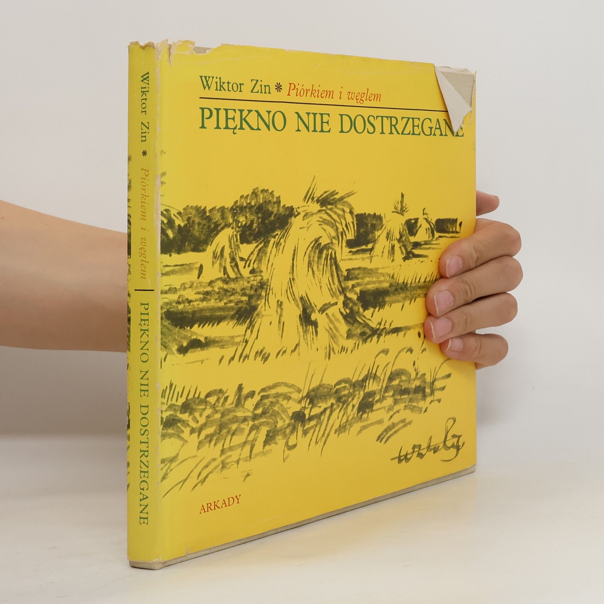 Wiktor Zin Piękno nie dostrzegane