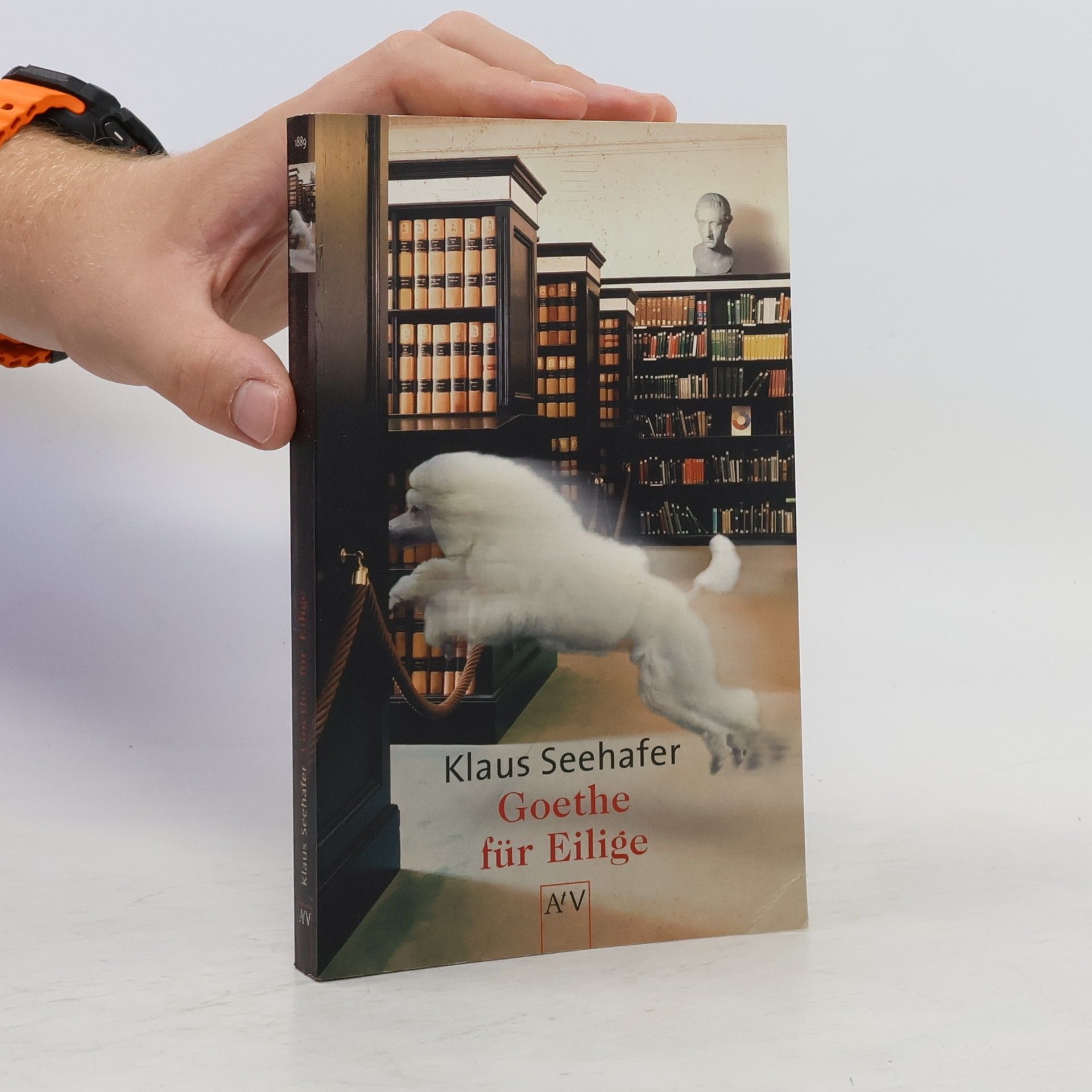 Klaus Seehafer Goethe für Eilige