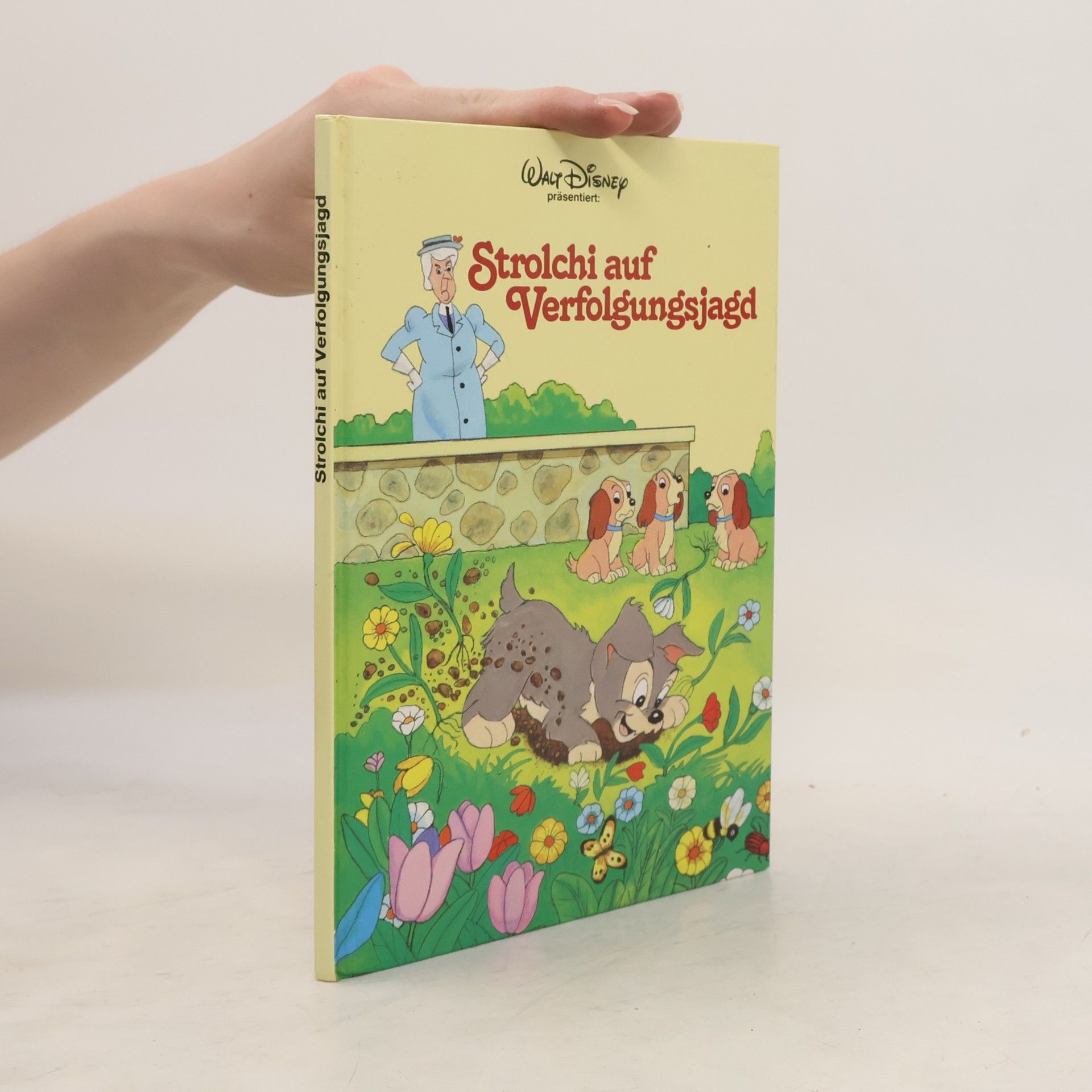 Collectif d'auteurs Strolchi auf Verfolgungsjagd