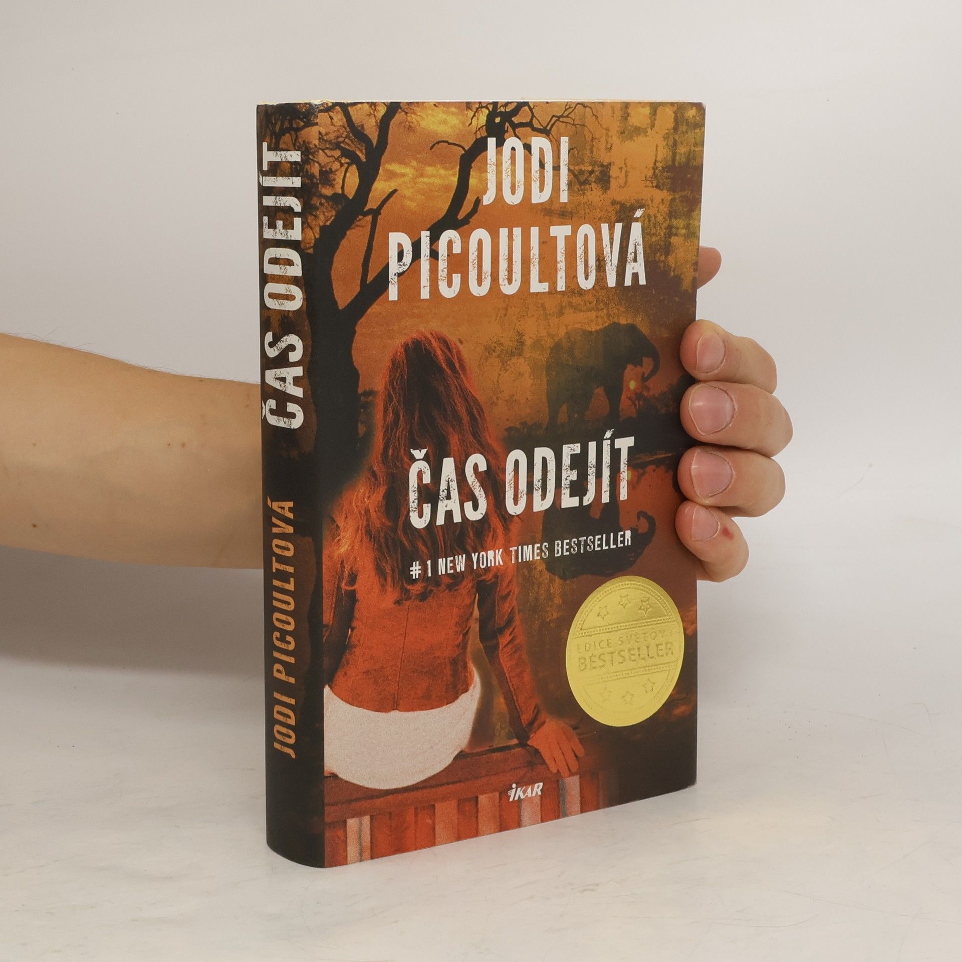Jodi Picoult Čas odejít