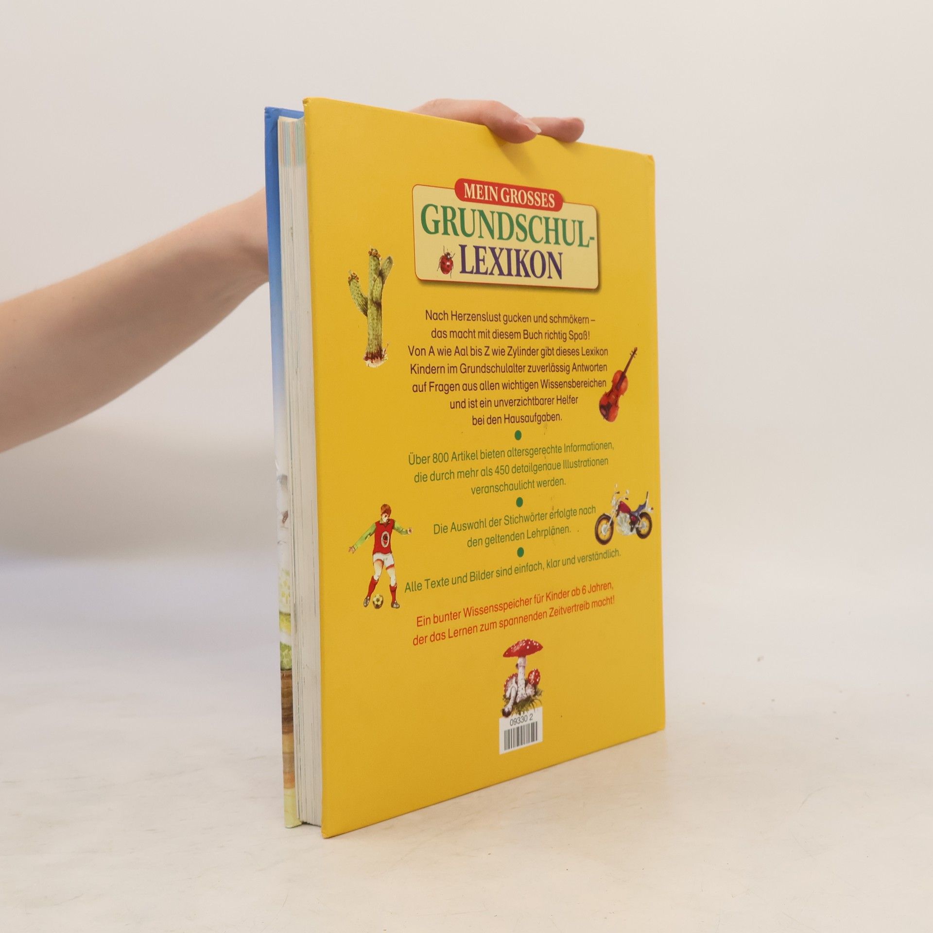 Autorenkollektiv Mein grosses Grundschul-lexikon von A-Z