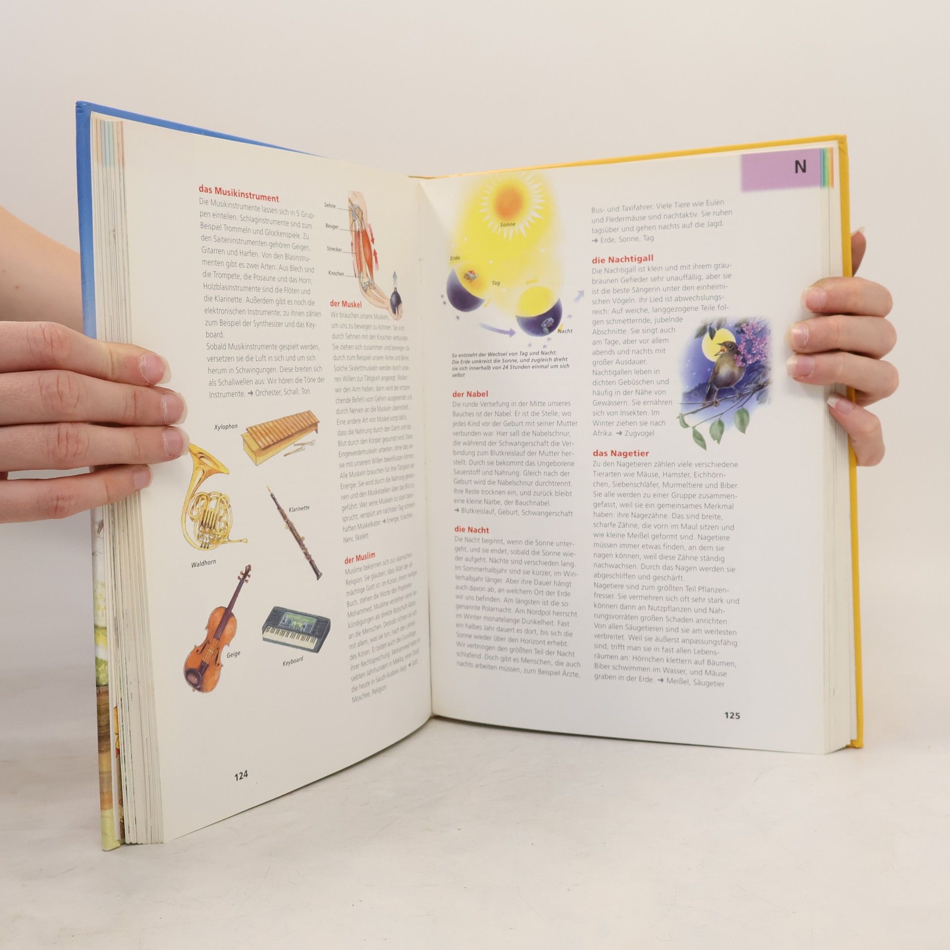 Autorenkollektiv Mein grosses Grundschul-lexikon von A-Z