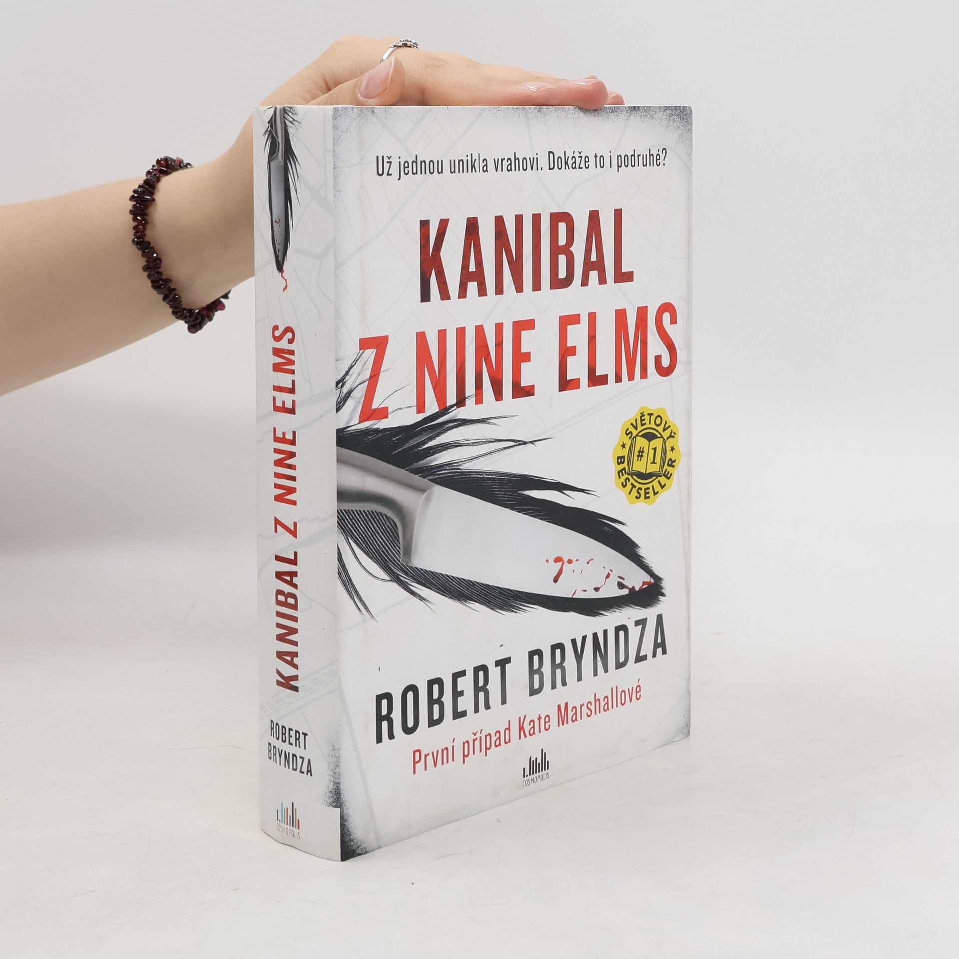 Robert Bryndza Kanibal z Nine Elms