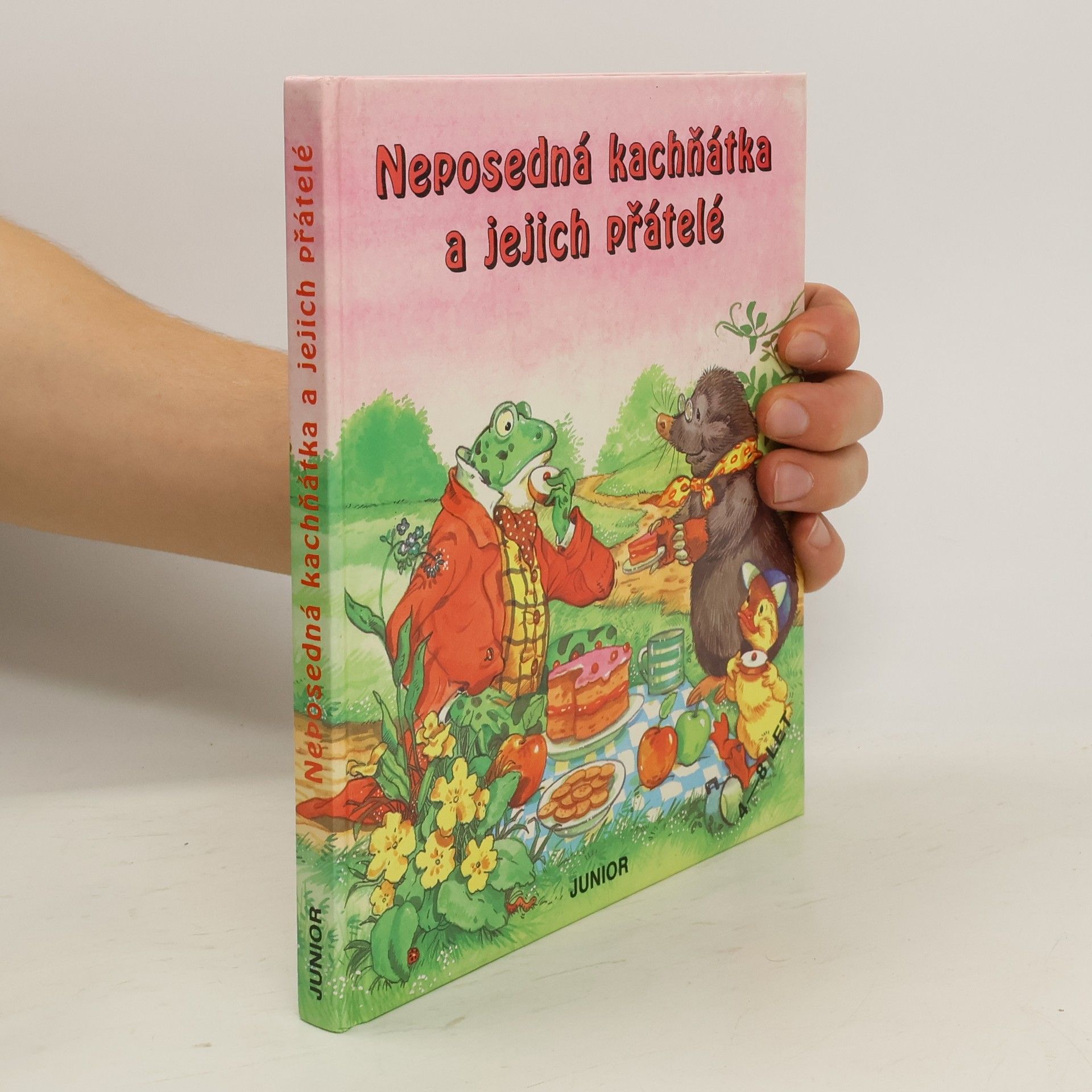 June Woodman Neposedná kachňátka a jejich přátelé