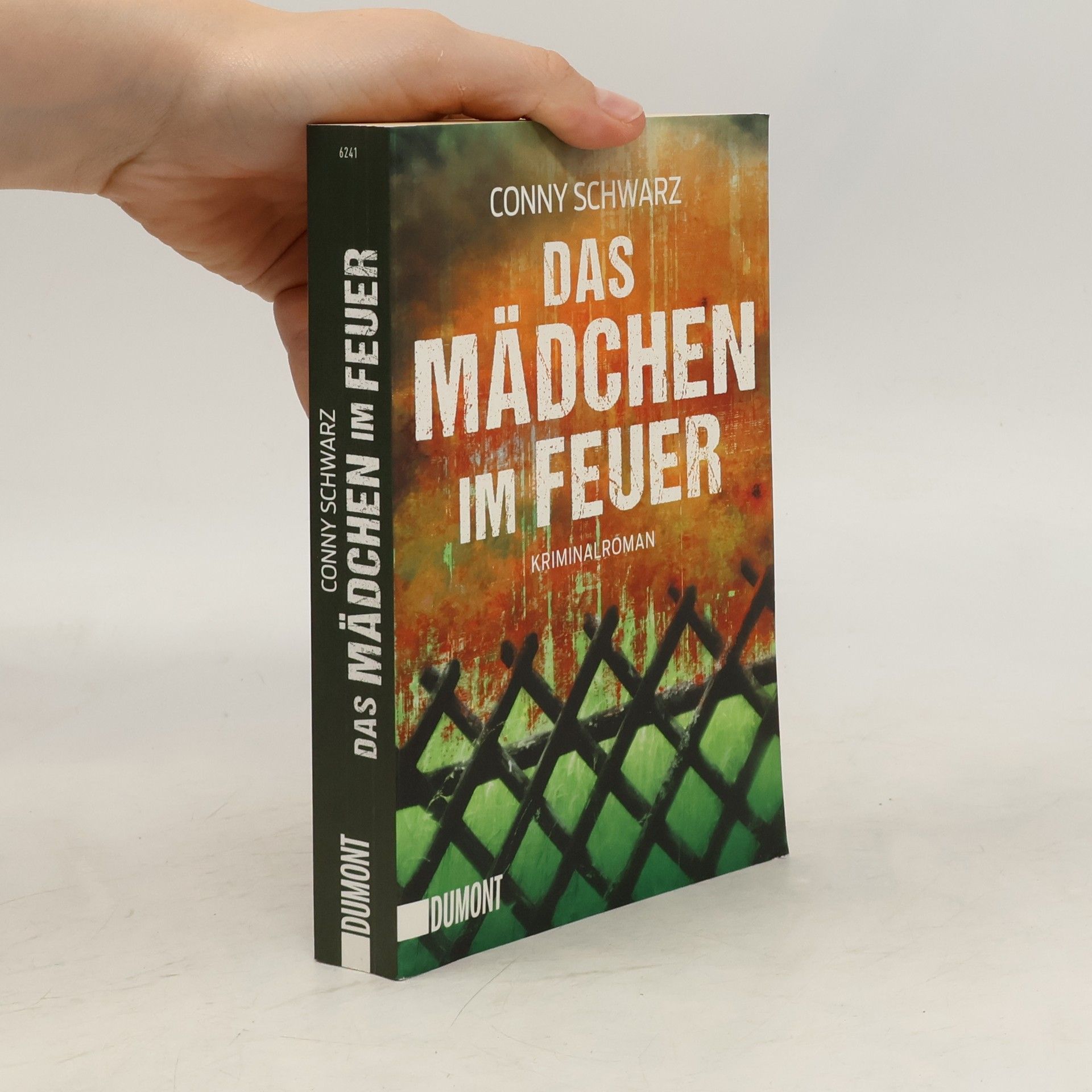 Conny Schwarz Das Mädchen im Feuer