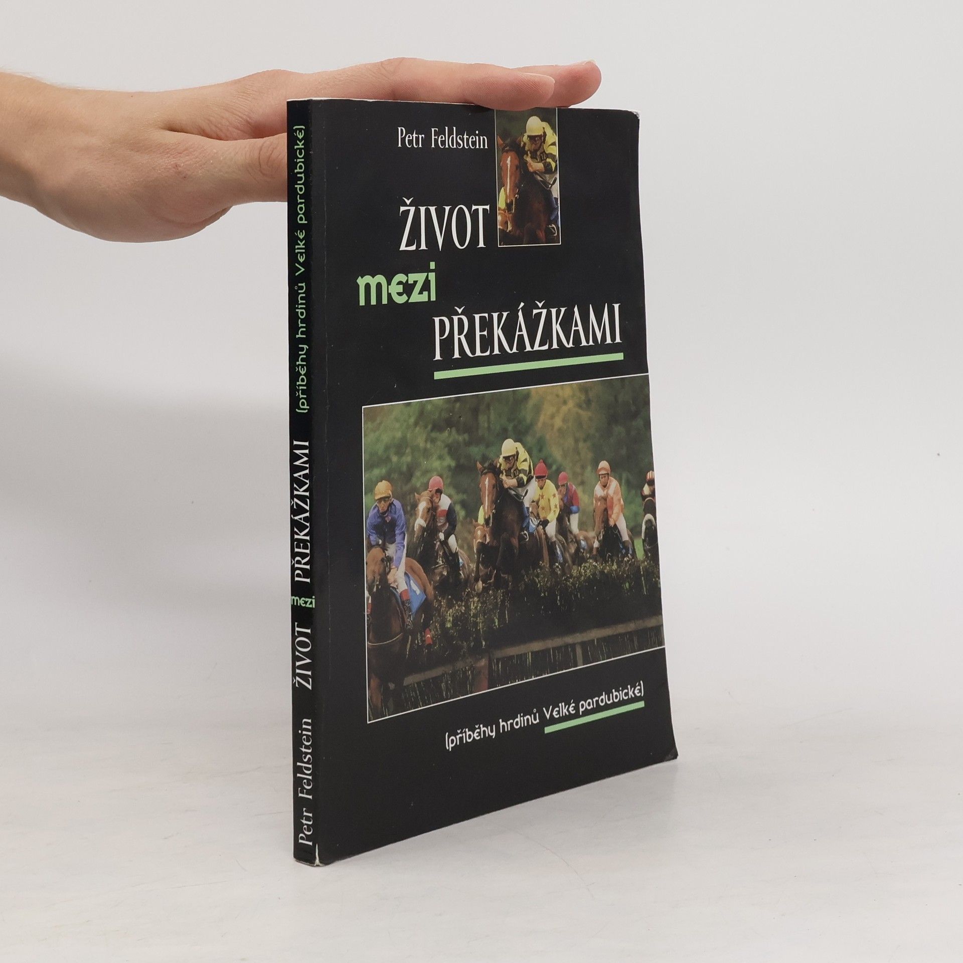 Petr Feldstein Život mezi překážkami