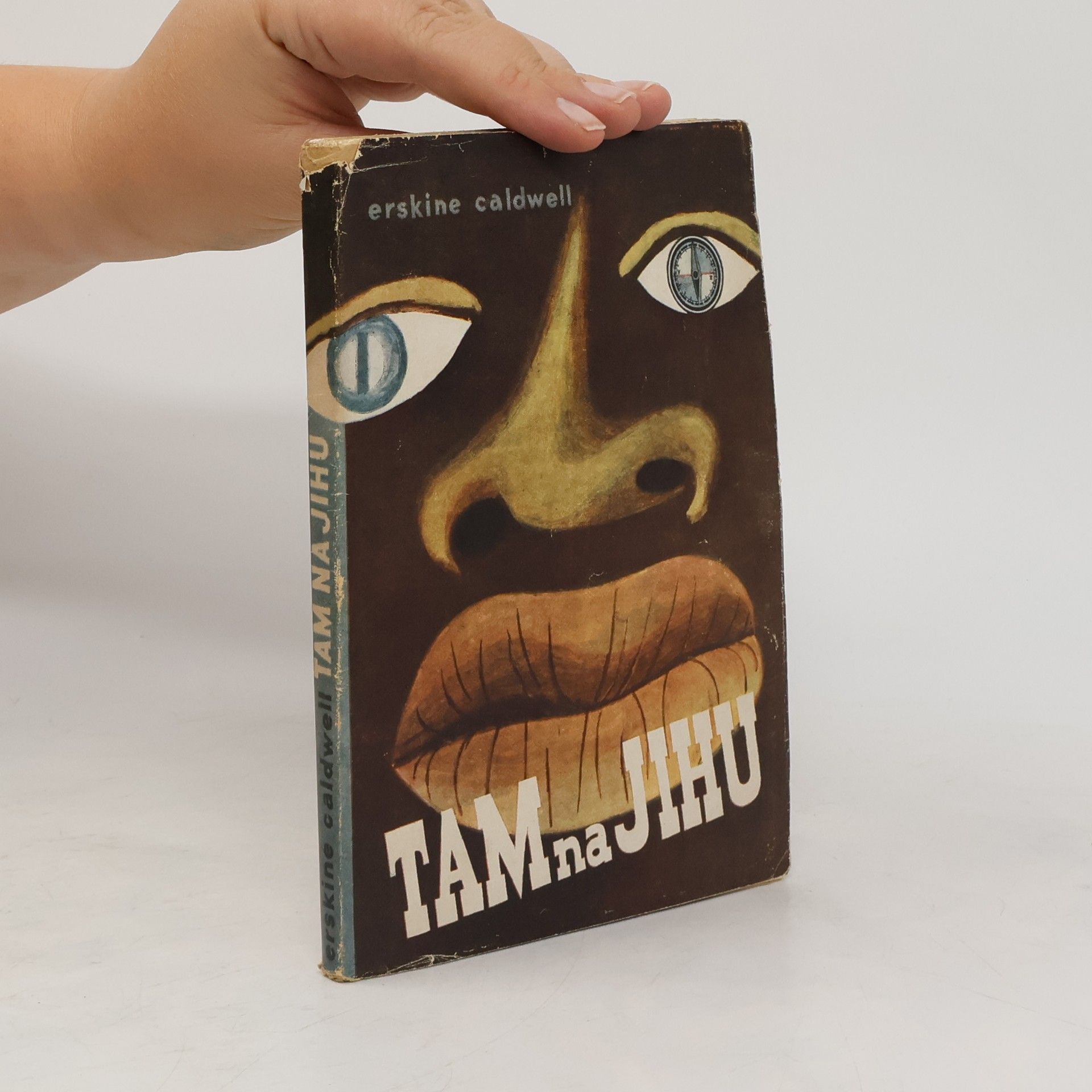 Erskine Caldwell Tam na jihu