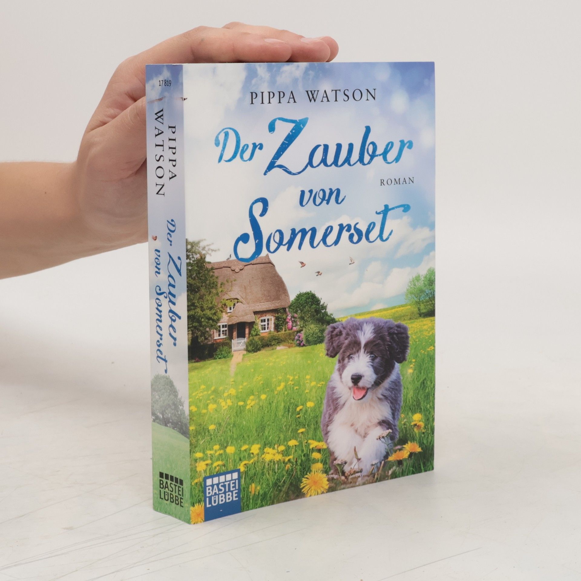 Pippa Watson Der Zauber von Somerset