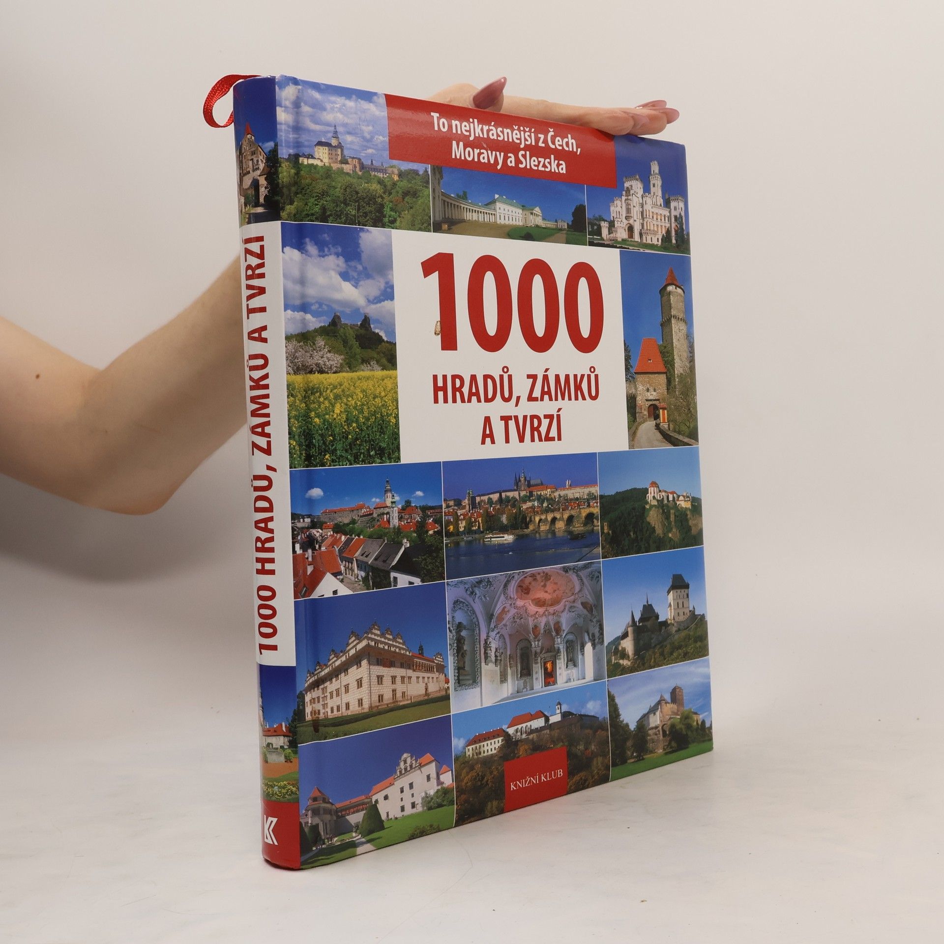 P. David 1000 hradů, zámků a tvrzí