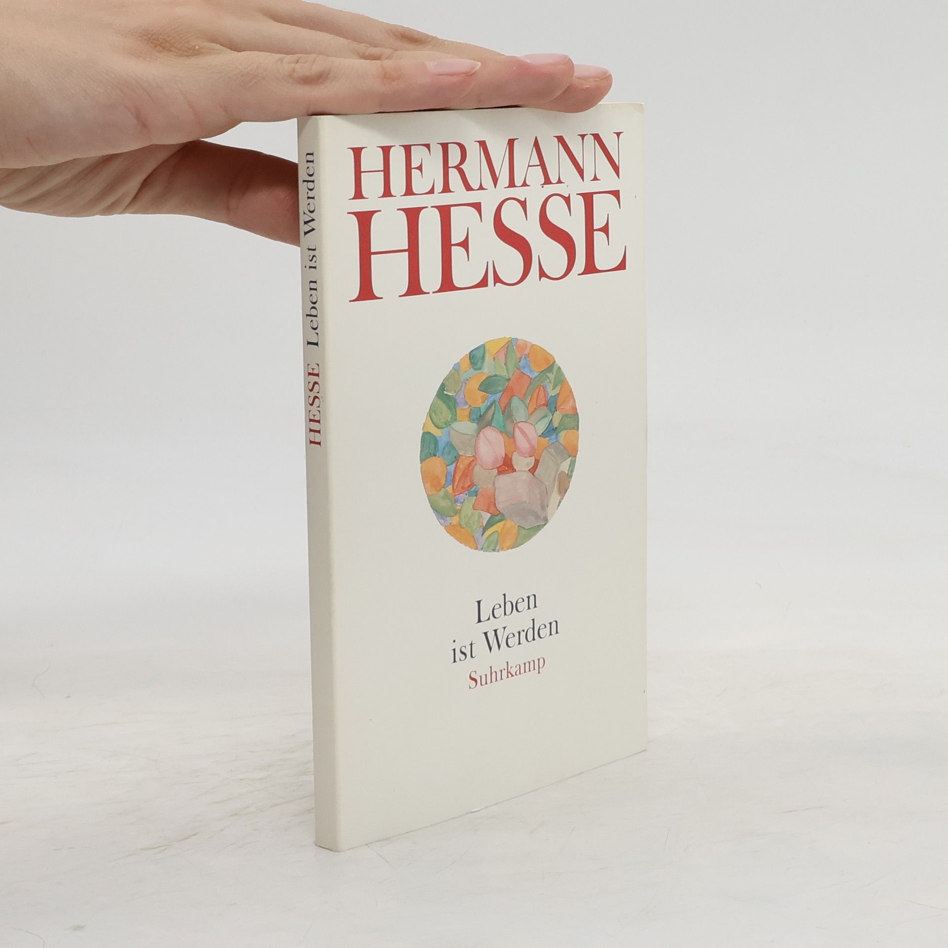 Hermann Hesse Leben ist werden