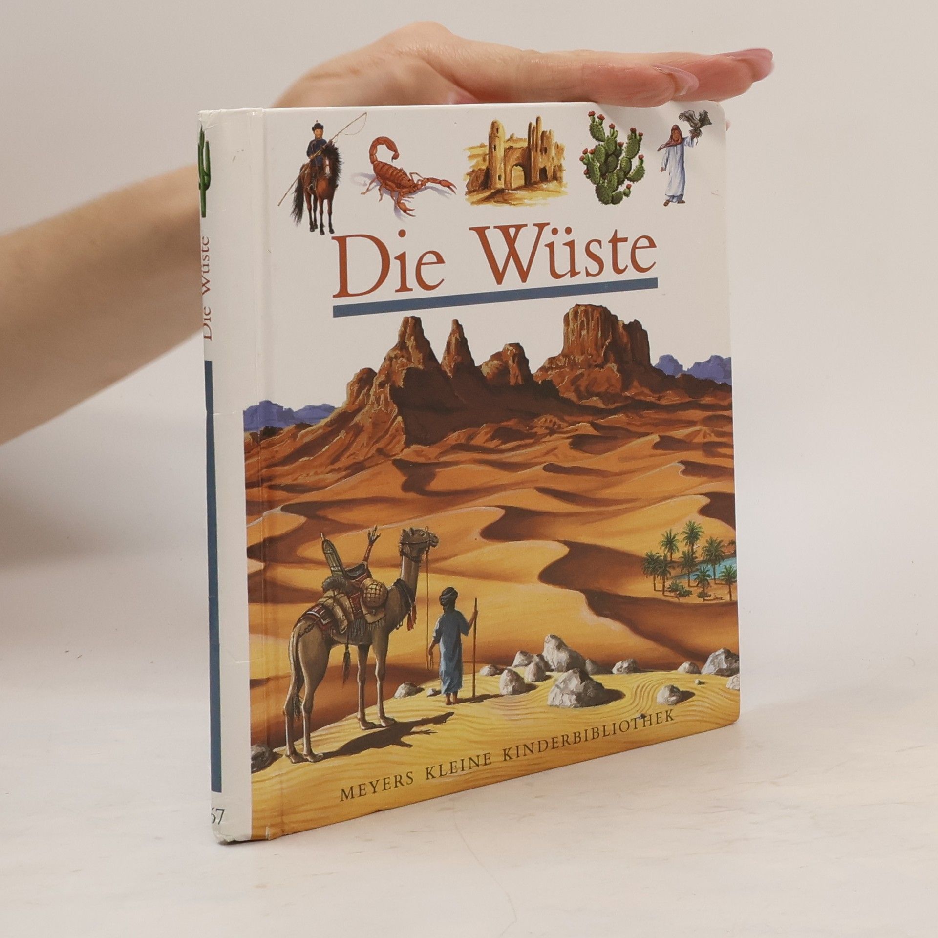 Donald Grant Die Wüste