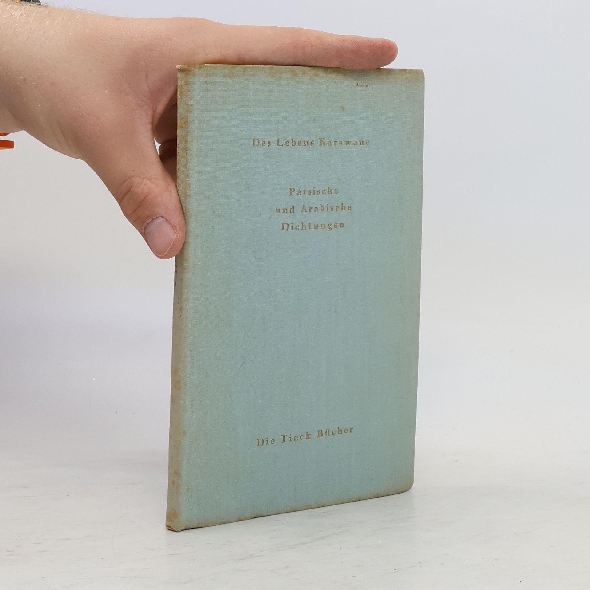 Heinrich Tieck Des Lebens Karawane. Persische und arabische Dichtungen