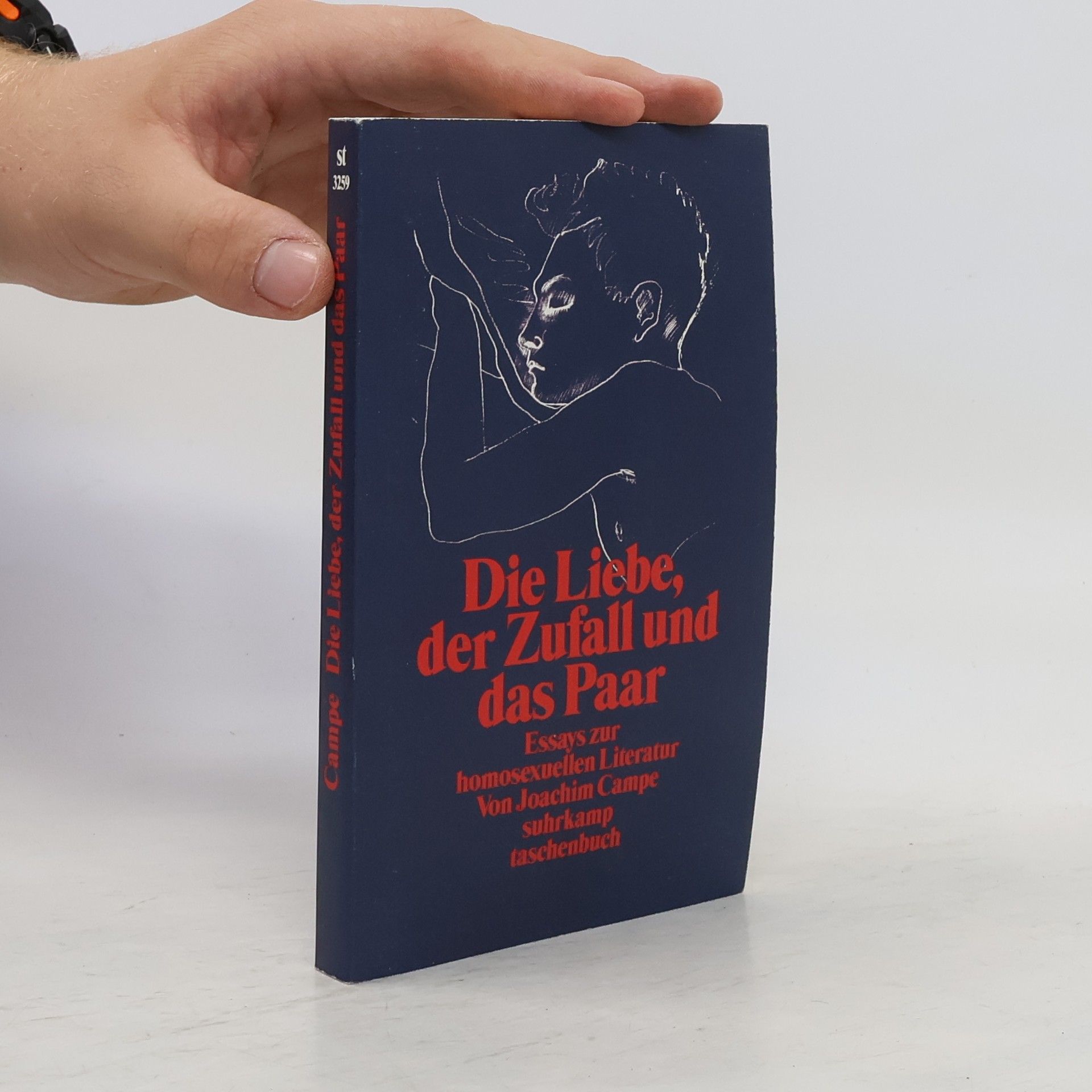 Joachim Campe Die Liebe, der Zufall und das Paar