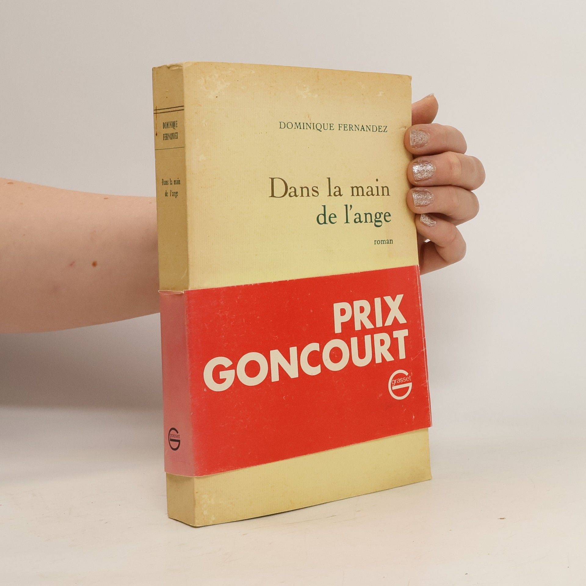 Dominique Fernandez Dans la main de l'ange