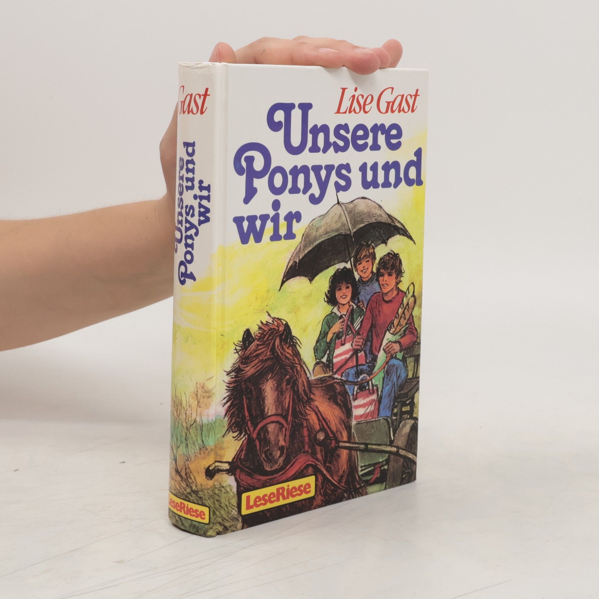 Lise Gast Unsere Ponys und wir