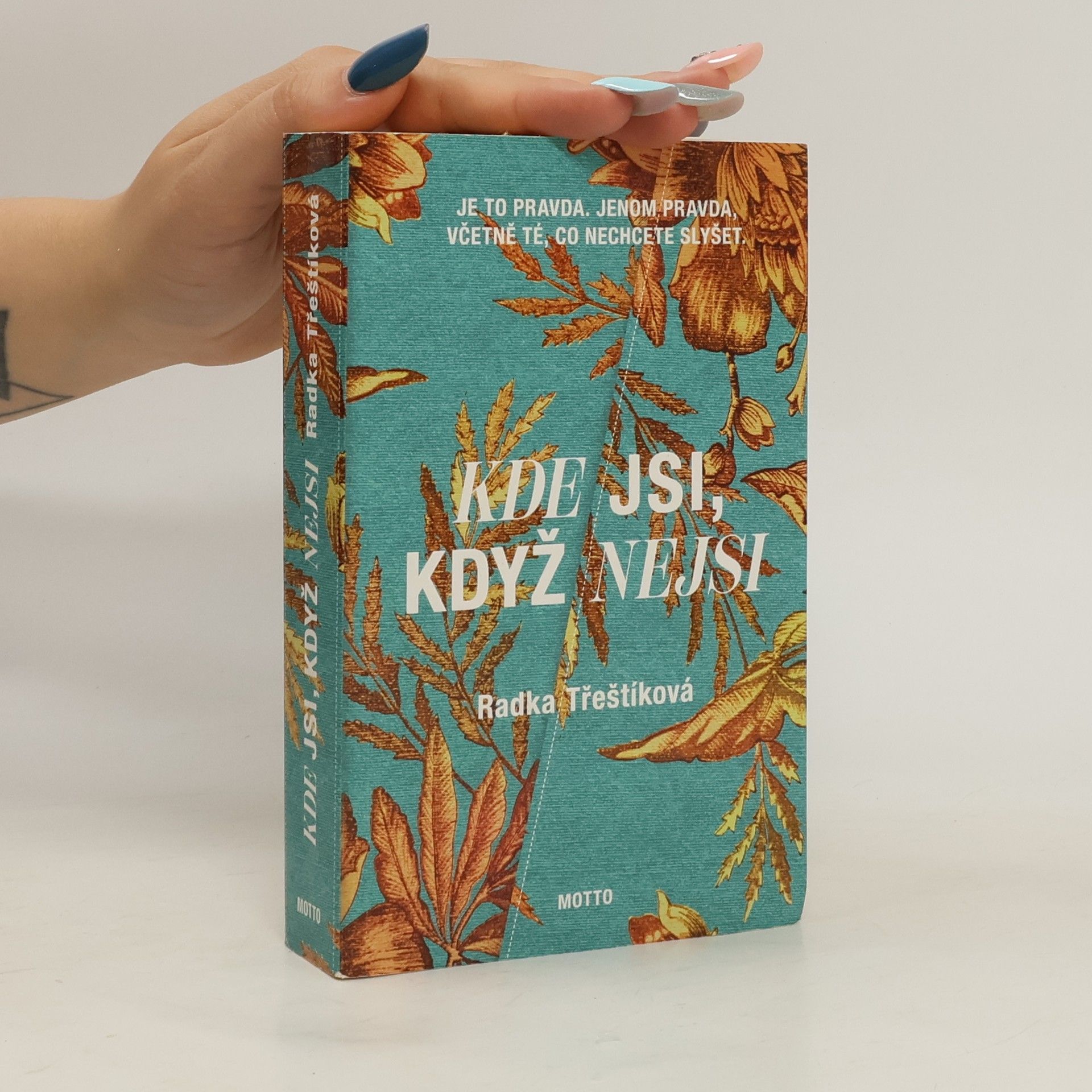 Radka Třeštíková Kde jsi, když nejsi