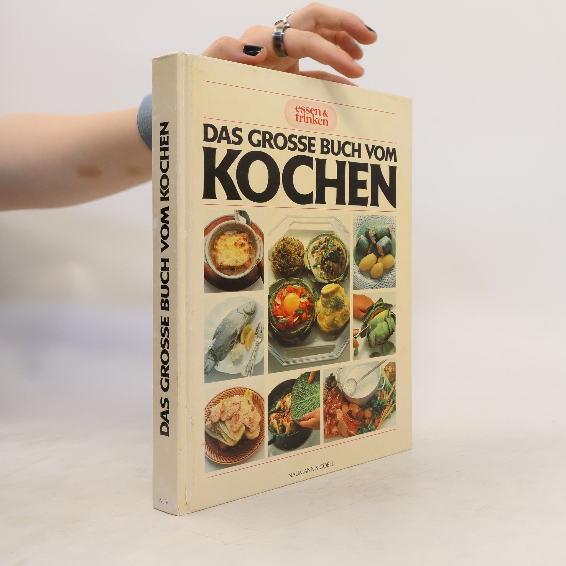 Autores varios Das Grosse Buch vom Kochen
