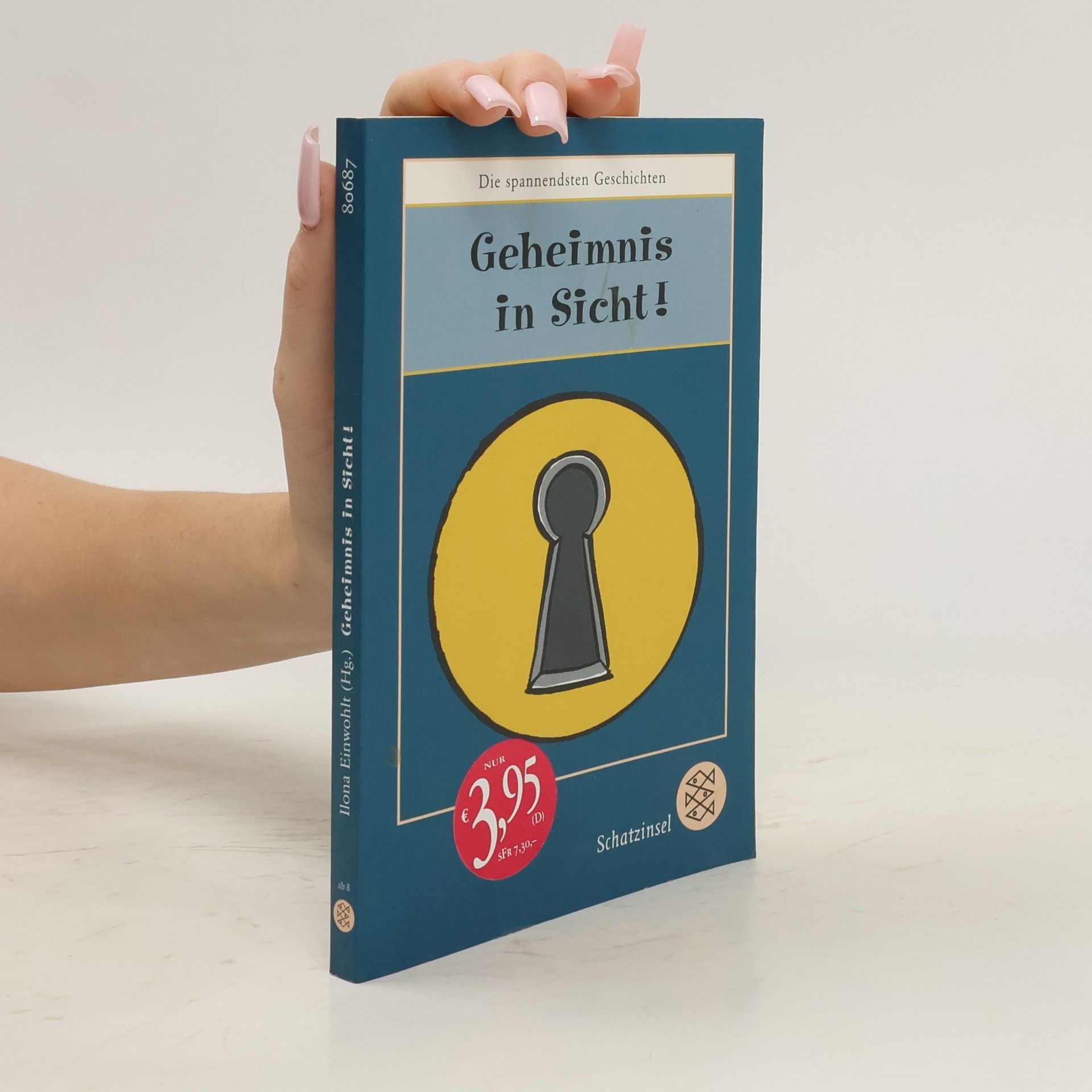 Ilona Einwohlt Geheimnis in Sicht
