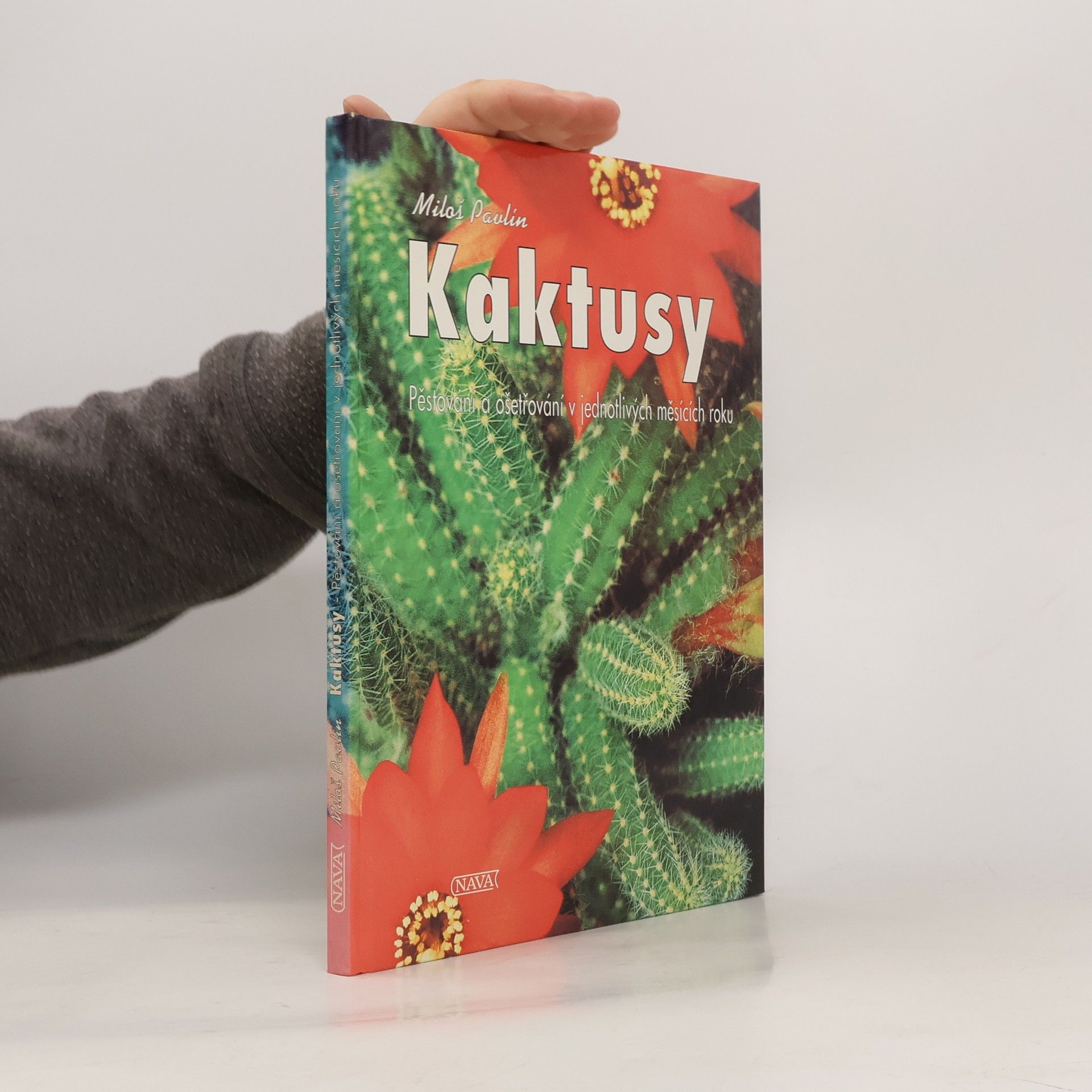 Pavlín Miloš Kaktusy. Pěstování a ošetřování v jednotlivých měsících roku
