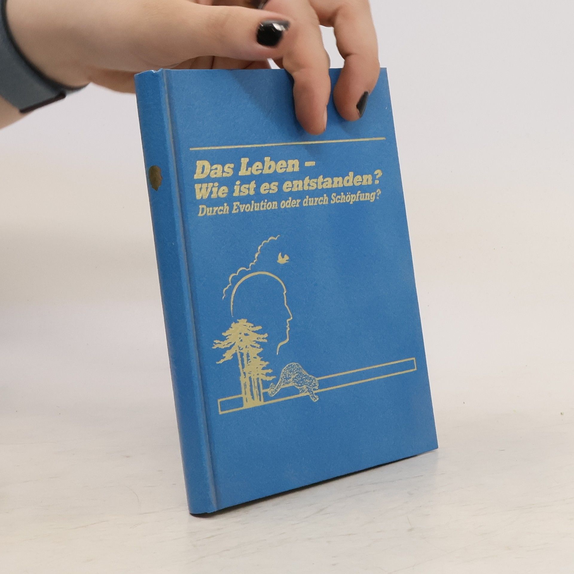 kolektiv Das Leben - Wie ist es entstanden?