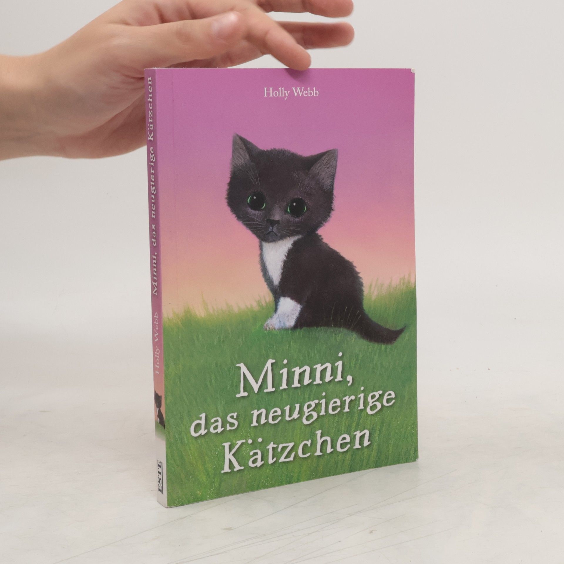 Holly Webb Minni, das neugierige Kätzchen