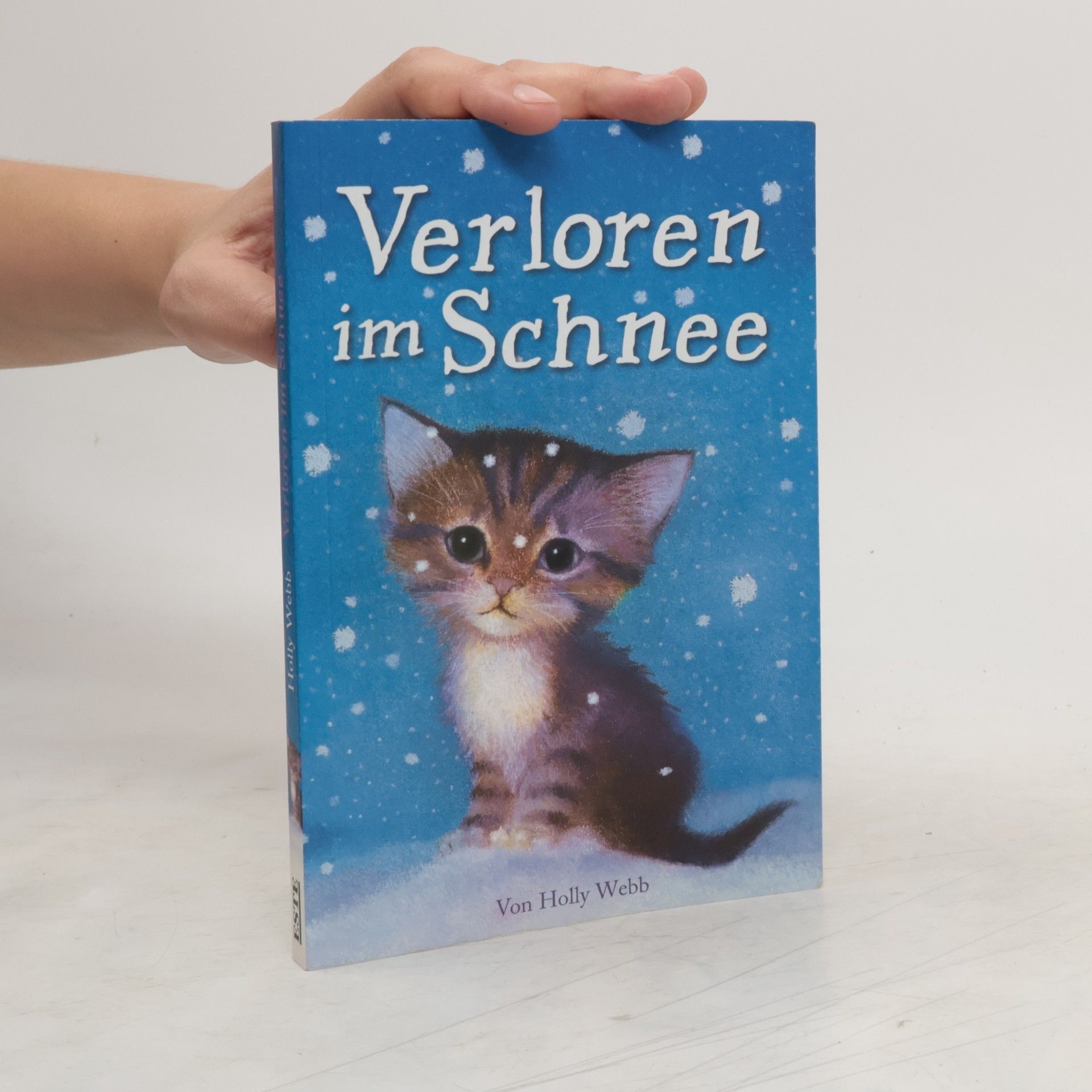 Holly Webb Verloren im Schnee