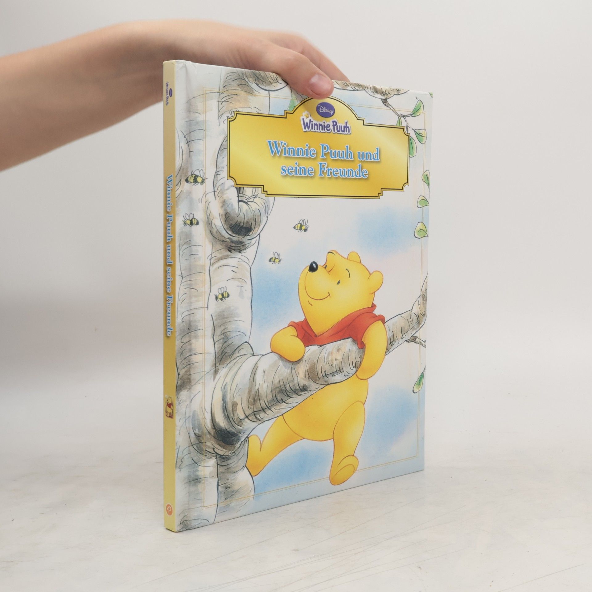kolektiv Winnie Puuh und seine Freunde