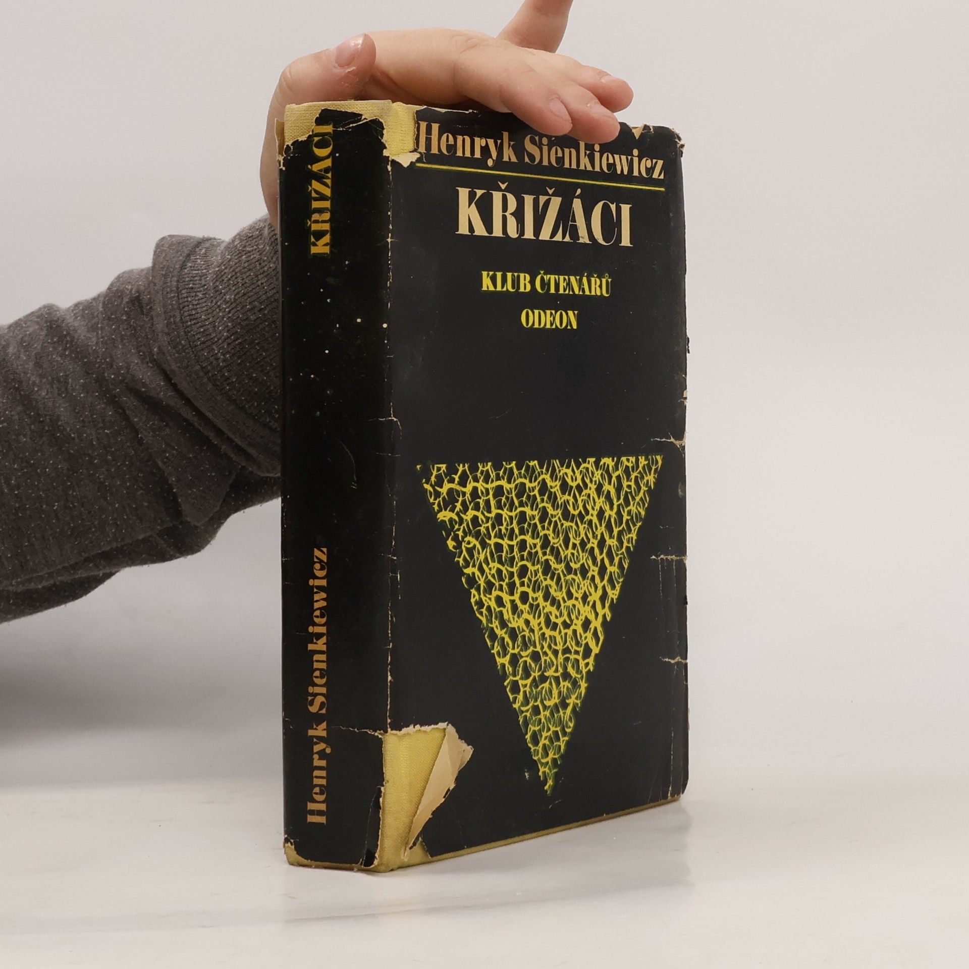 Henryk Sienkiewicz Křižáci