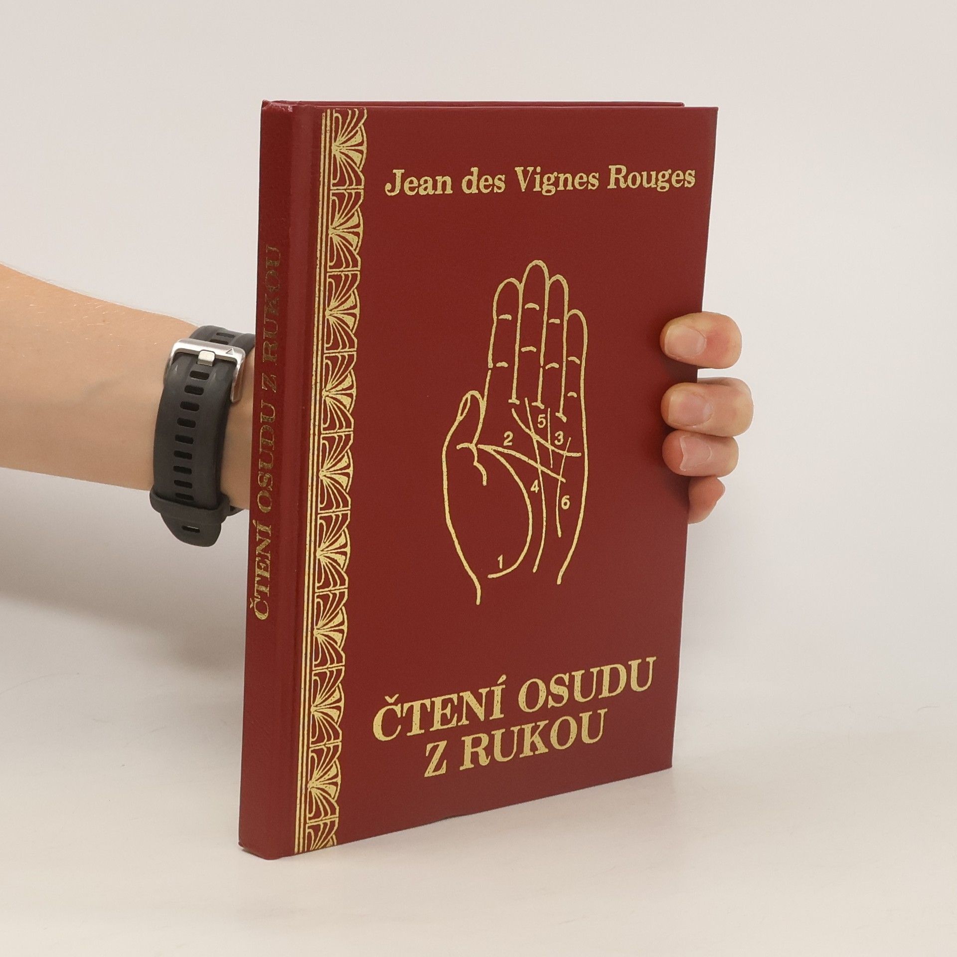 Jean Des Vignes Rouges Čtení osudu z rukou : s 83 vyobrazeními