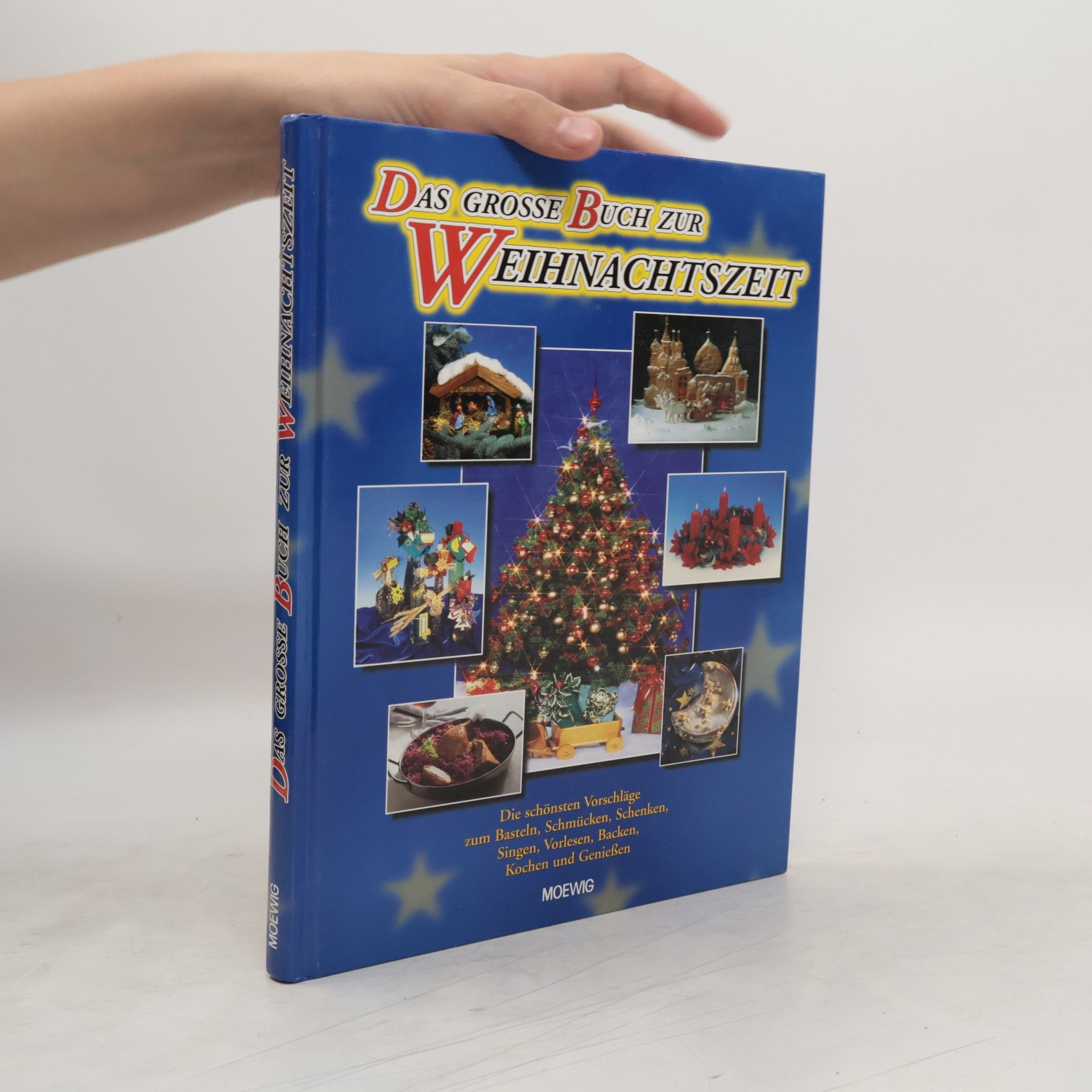 Collectif d'auteurs Das große Buch zur Weihnachtszeit