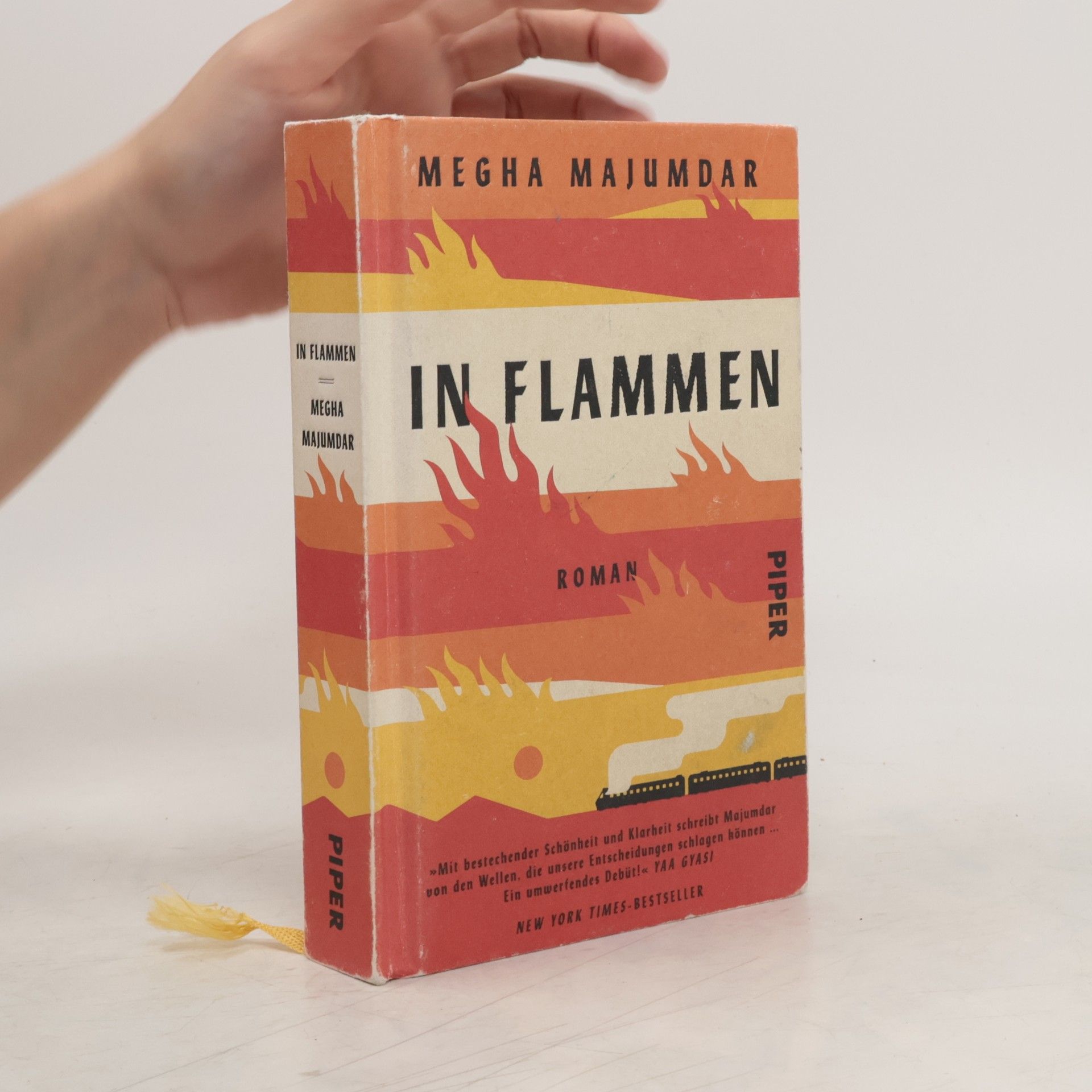 Megha Majumdar In Flammen