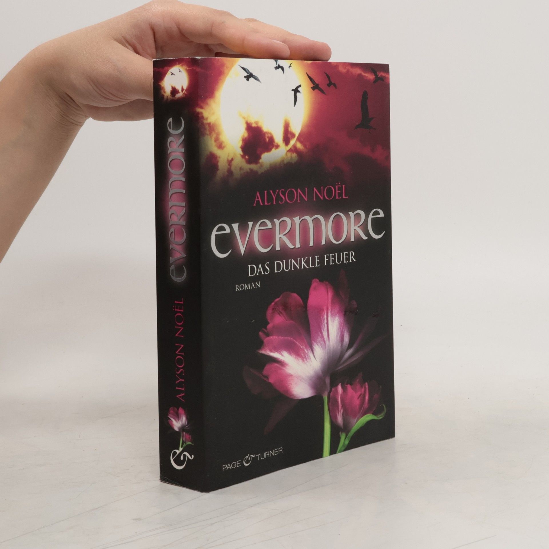 Alyson Noë͏l Evermore: Das dunkle Feuer