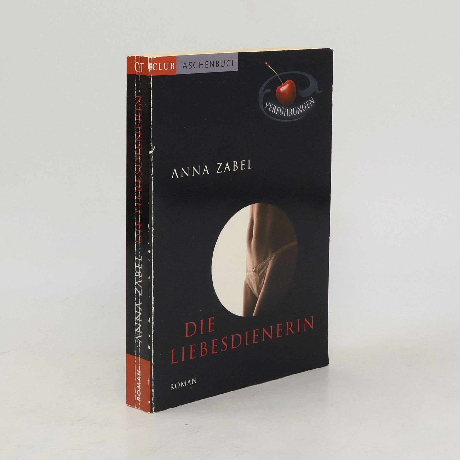 Anna Zabel Die Liebesdienerin