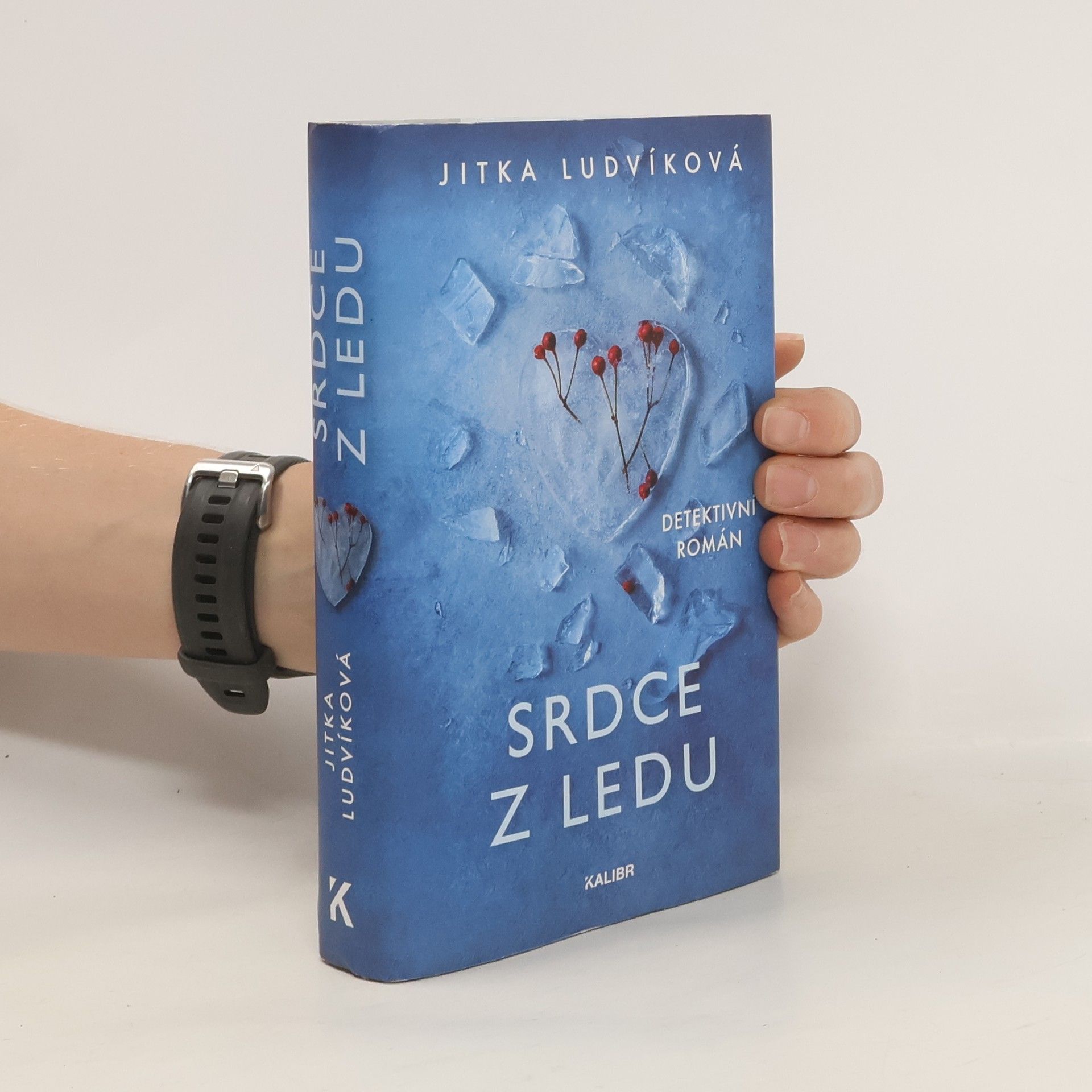 Jitka Ludvíková Srdce z ledu