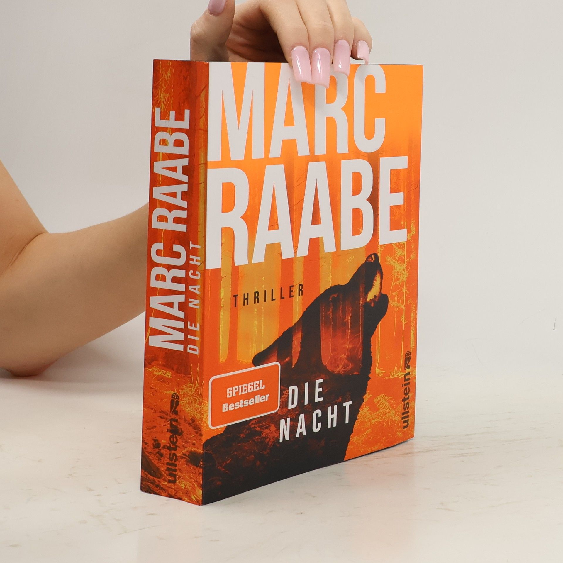 Marc Raabe Die Nacht