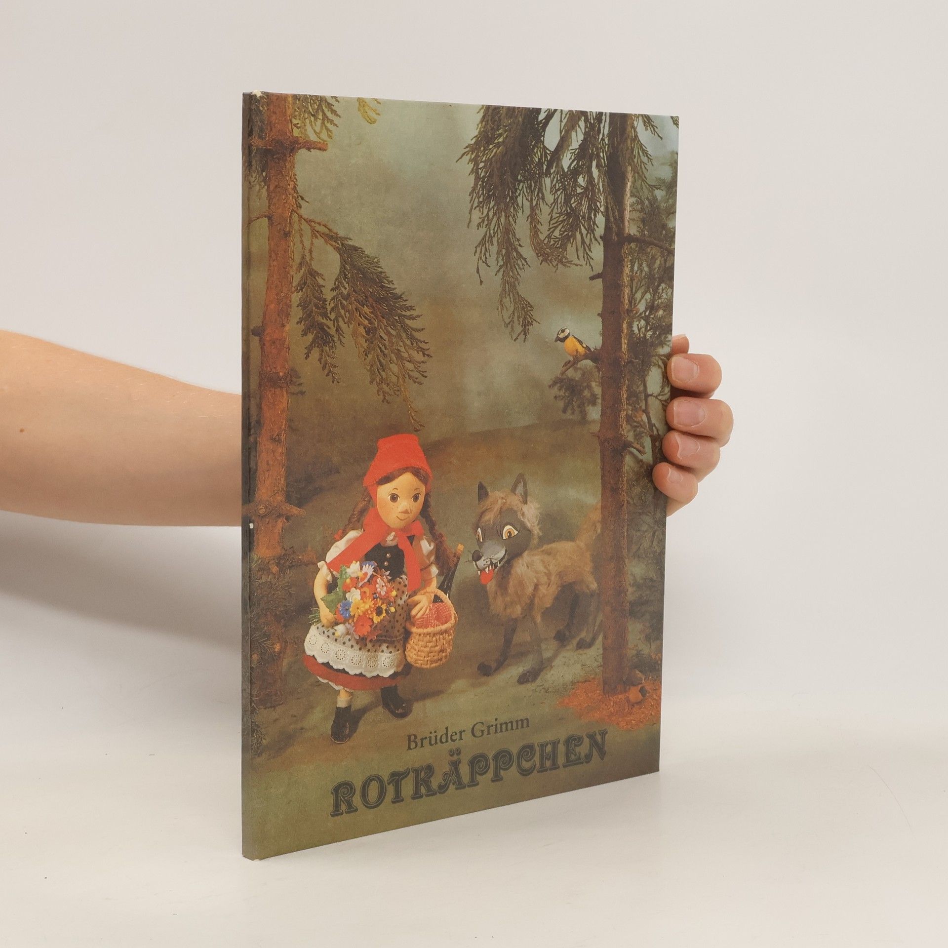 Jacob Grimm Rotkäppchen