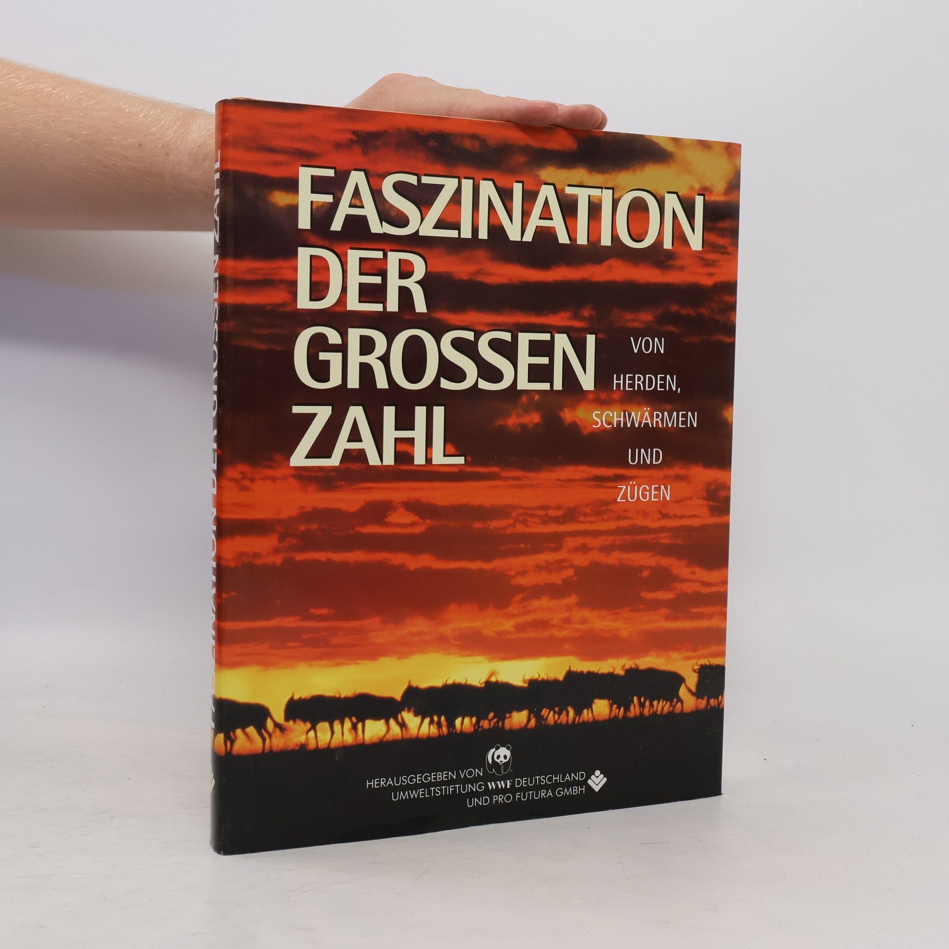 kolektiv Faszination der grossen zahl