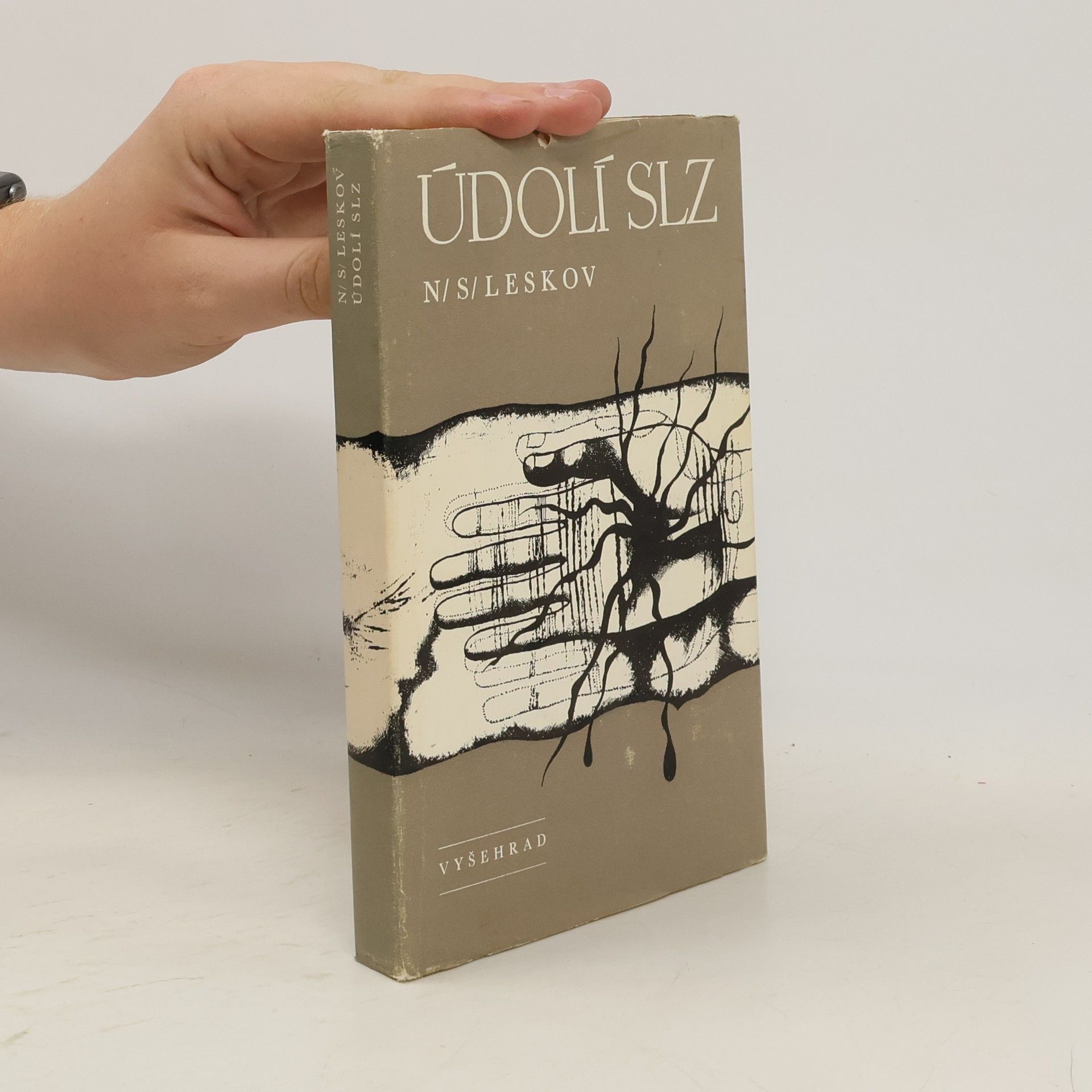 Nikolaj Semjonovič Leskov Údolí slz