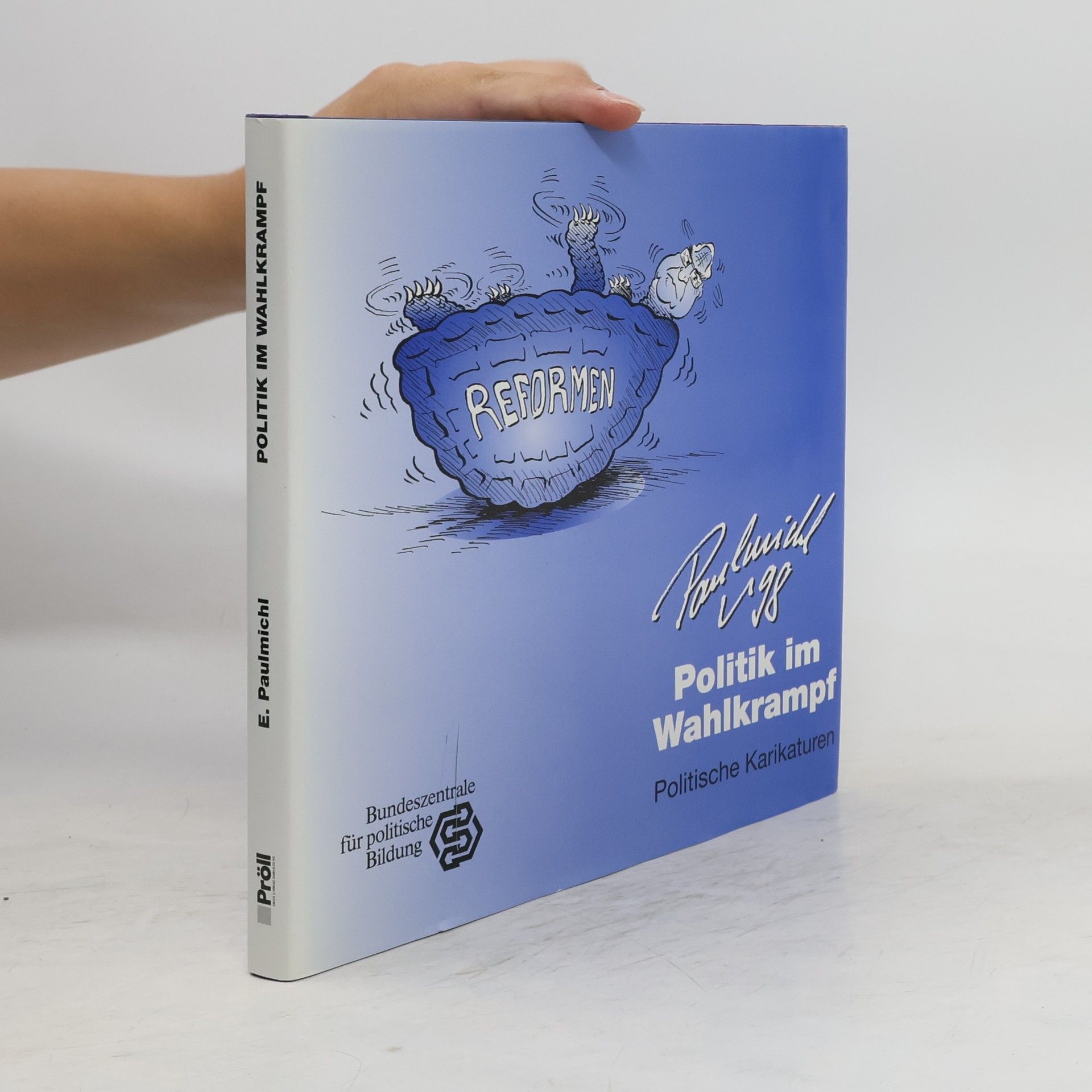 Autores varios Politik im Wahlkrampf