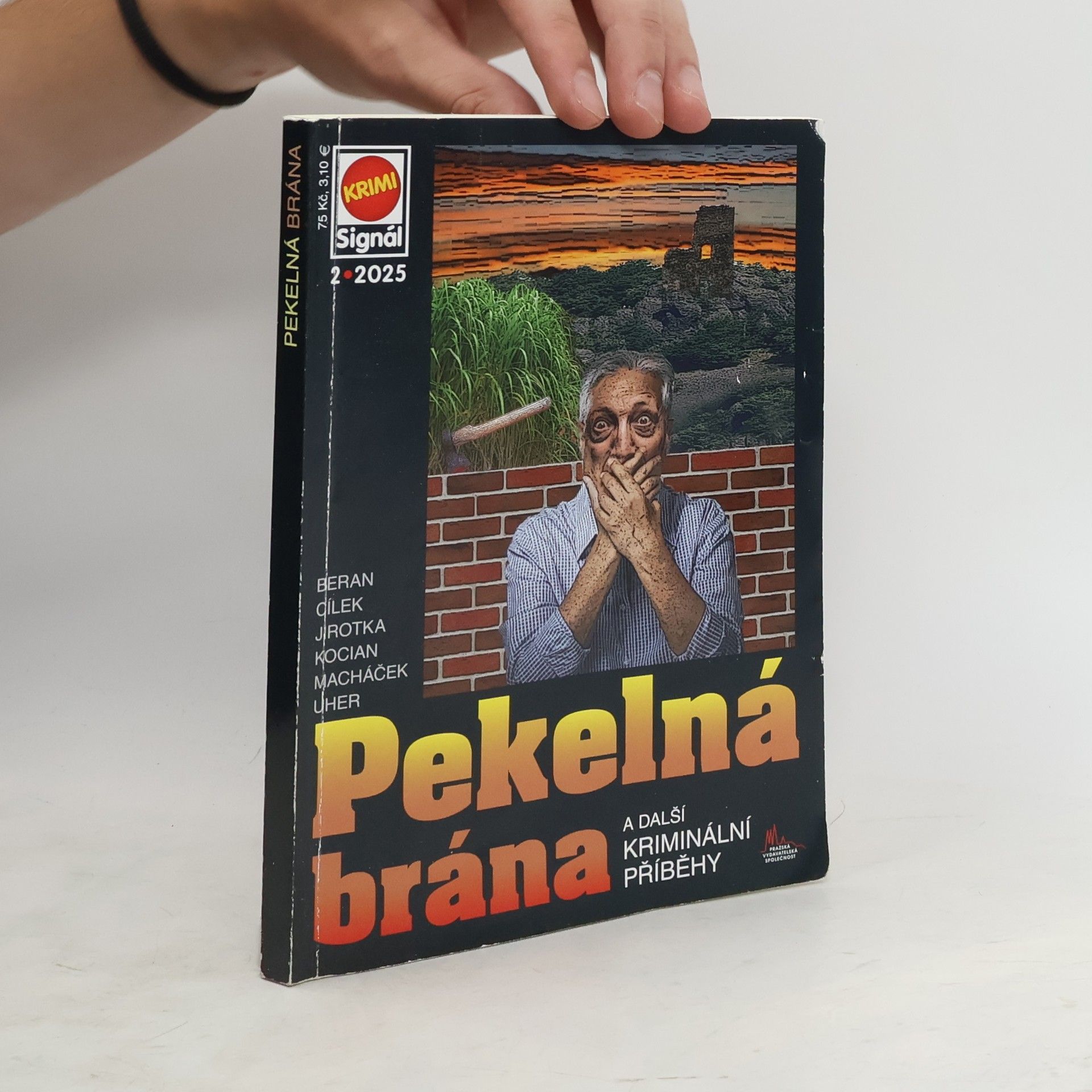 Autorenkollektiv Pekelná brána a další kriminální příběhy
