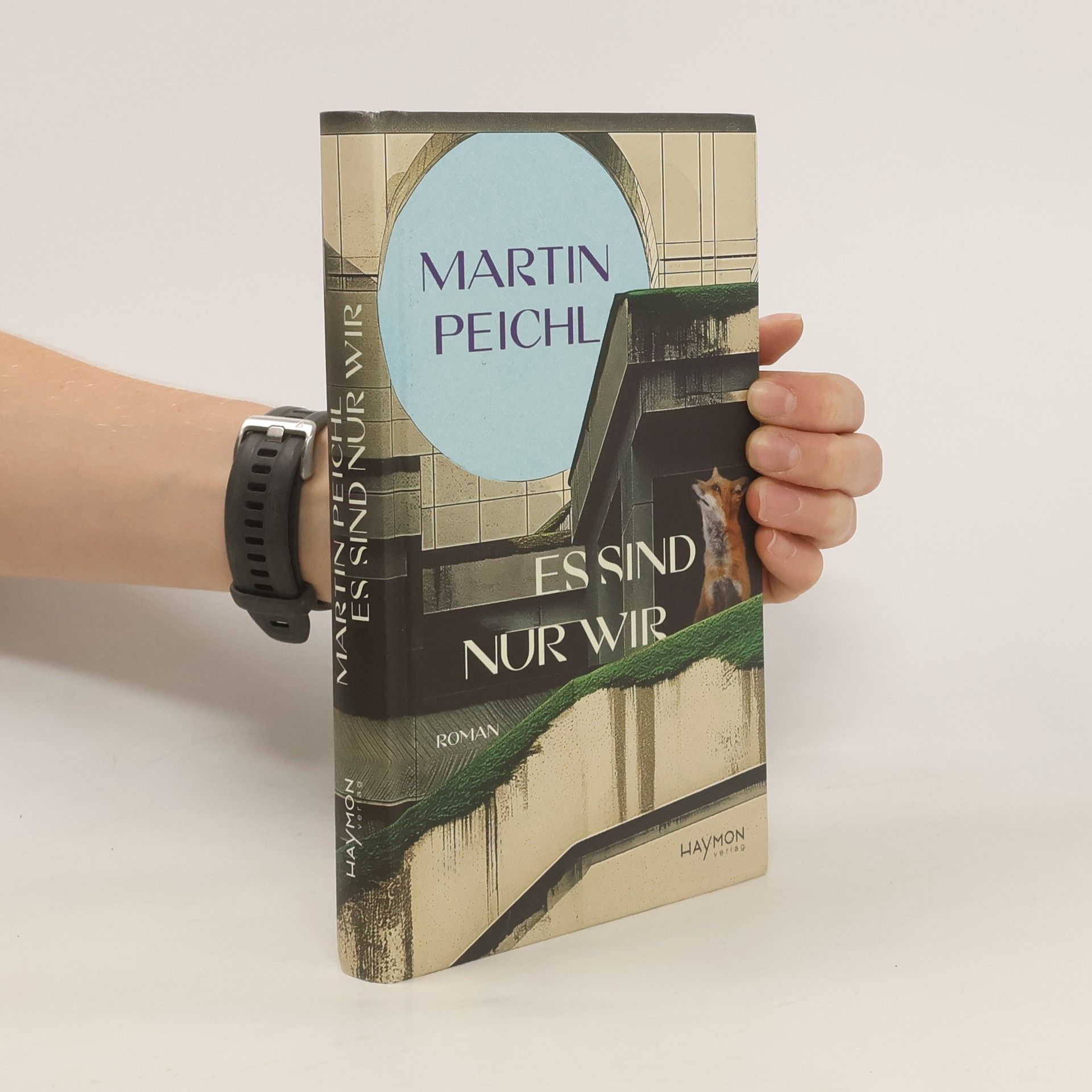 Martin Peichl Es sind nur wir. Roman