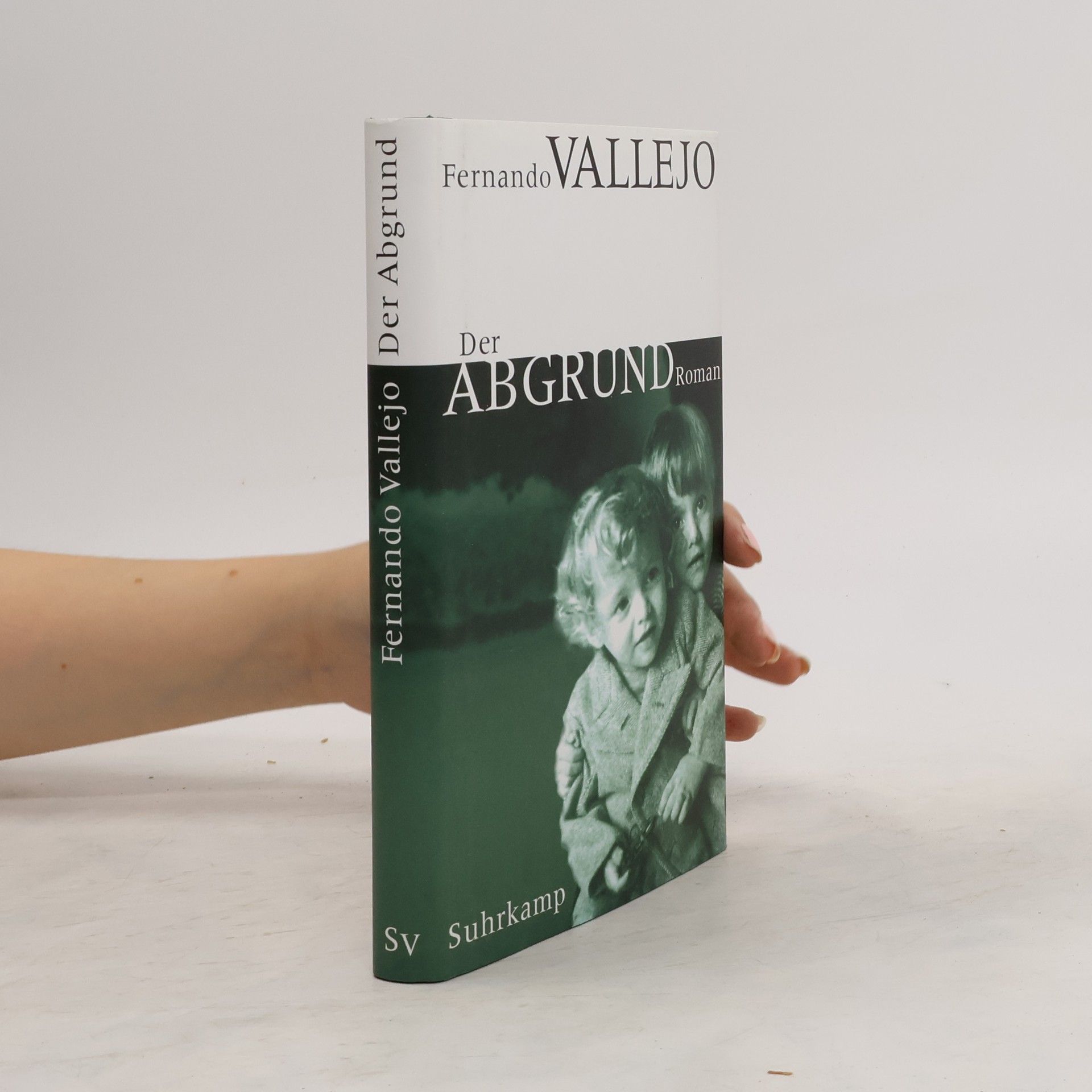 Fernando Vallejo Der Abgrund