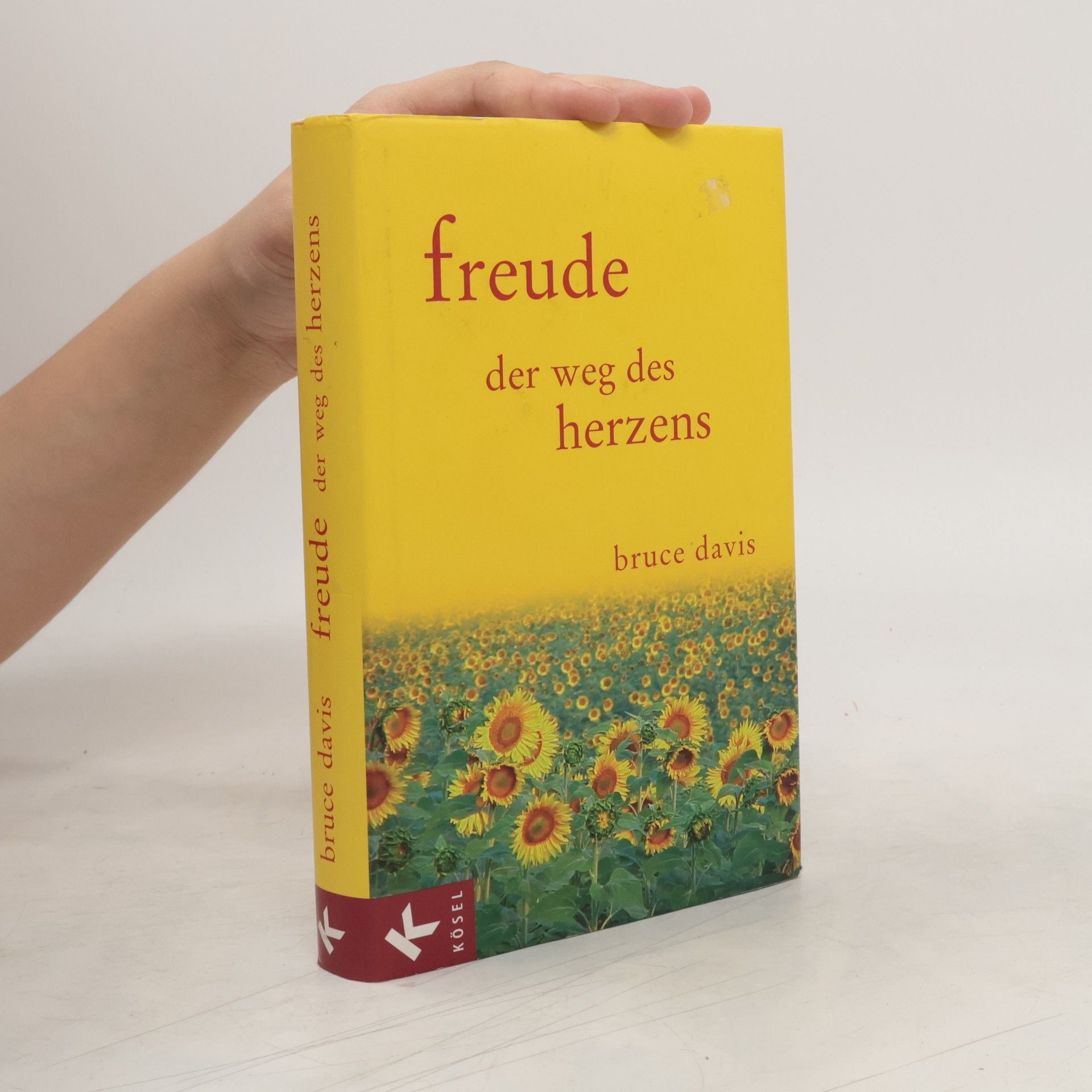 Bruce Davis Freude der Weg des Herzens