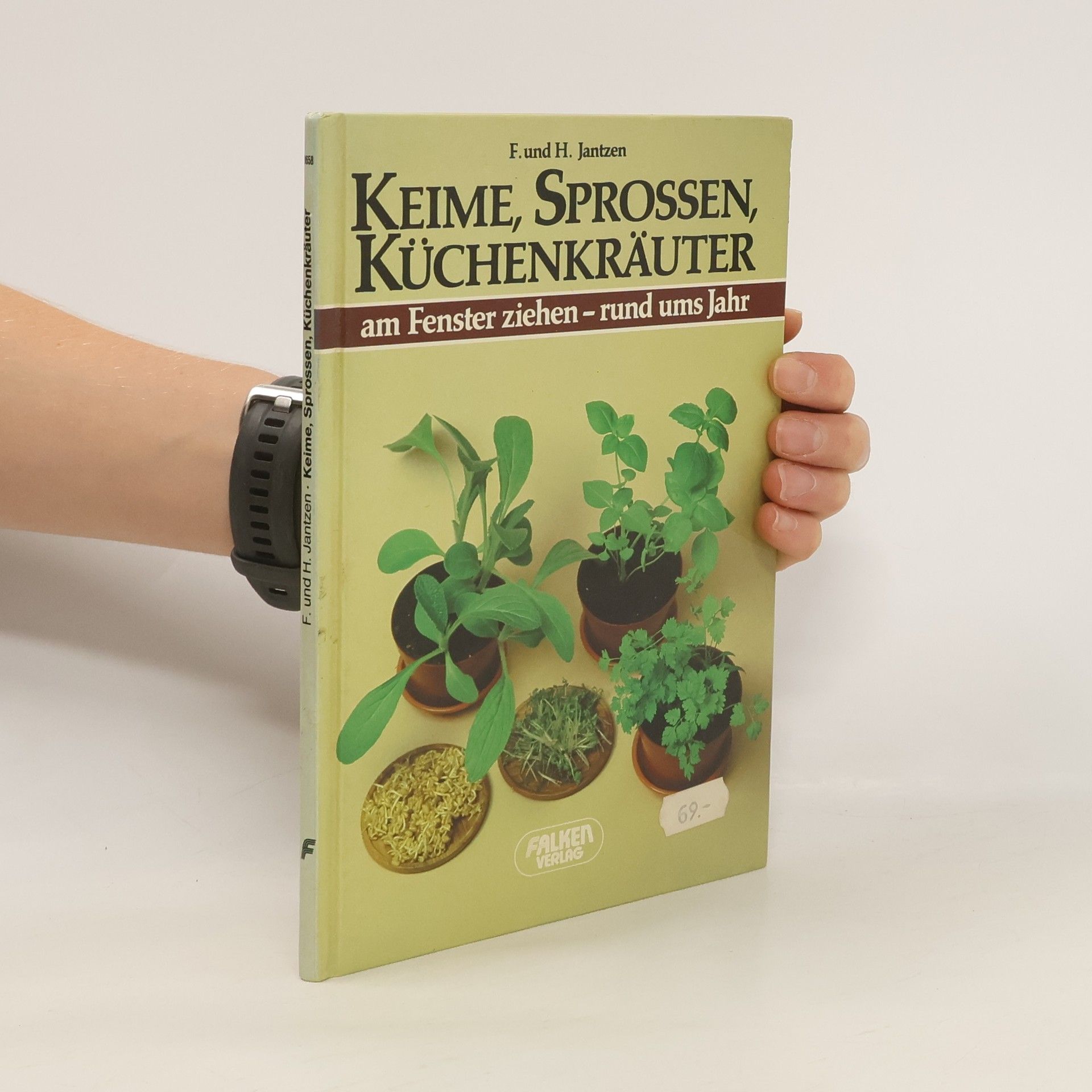 Friedrich Jantzen Keime, Sprossen, Küchenkräuter am Fenster ziehen - rund ums Jahr