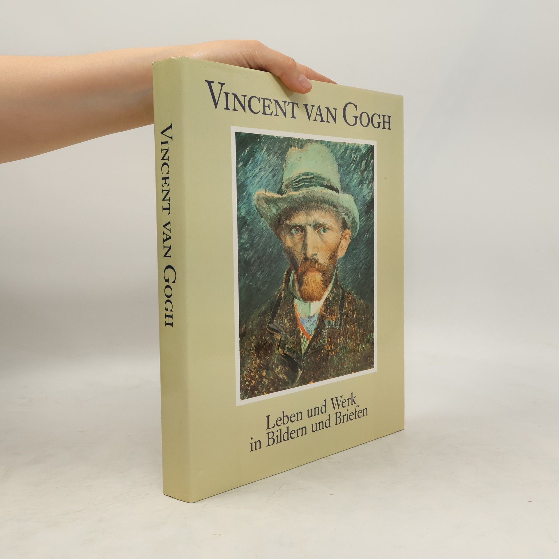 Bruce Bernard Vincent van Gogh. Leben und Werk in Bildern und Briefen