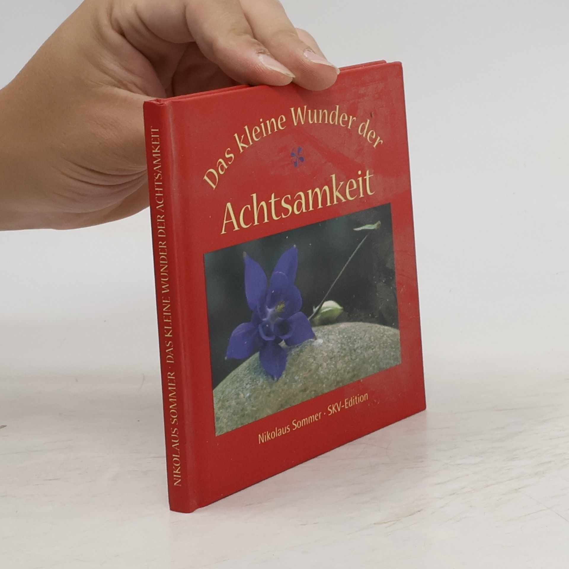 Nikolaus Sommer Das kleine Wunder der Achtsamkeit