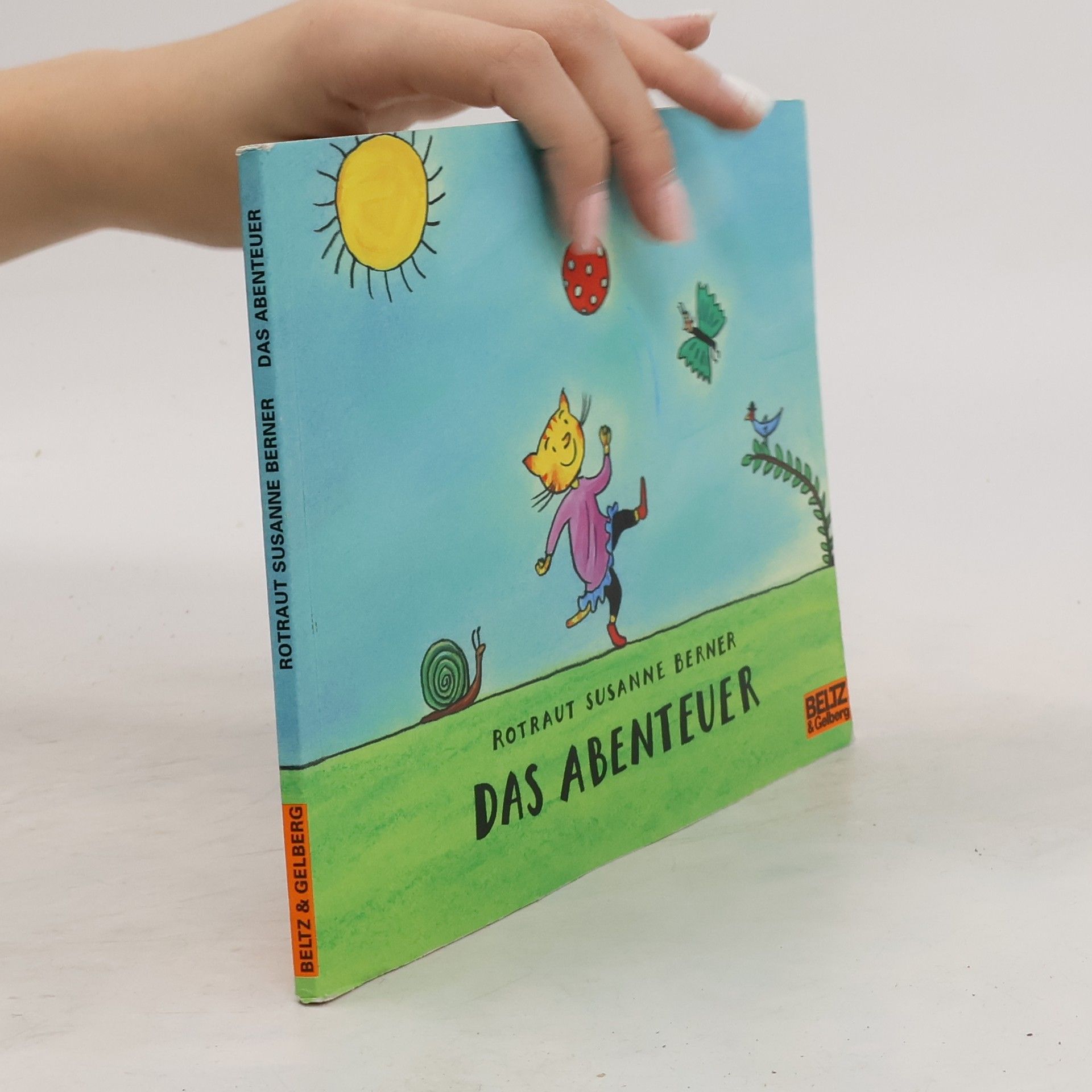 Rotraut Susanne Berner Das Abenteuer. Vierfarbiges Bilderbuch