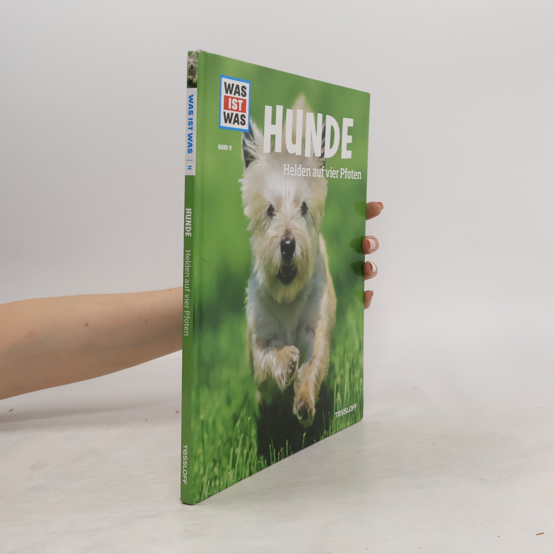 Collective Hunde. Helden auf vier Pfoten