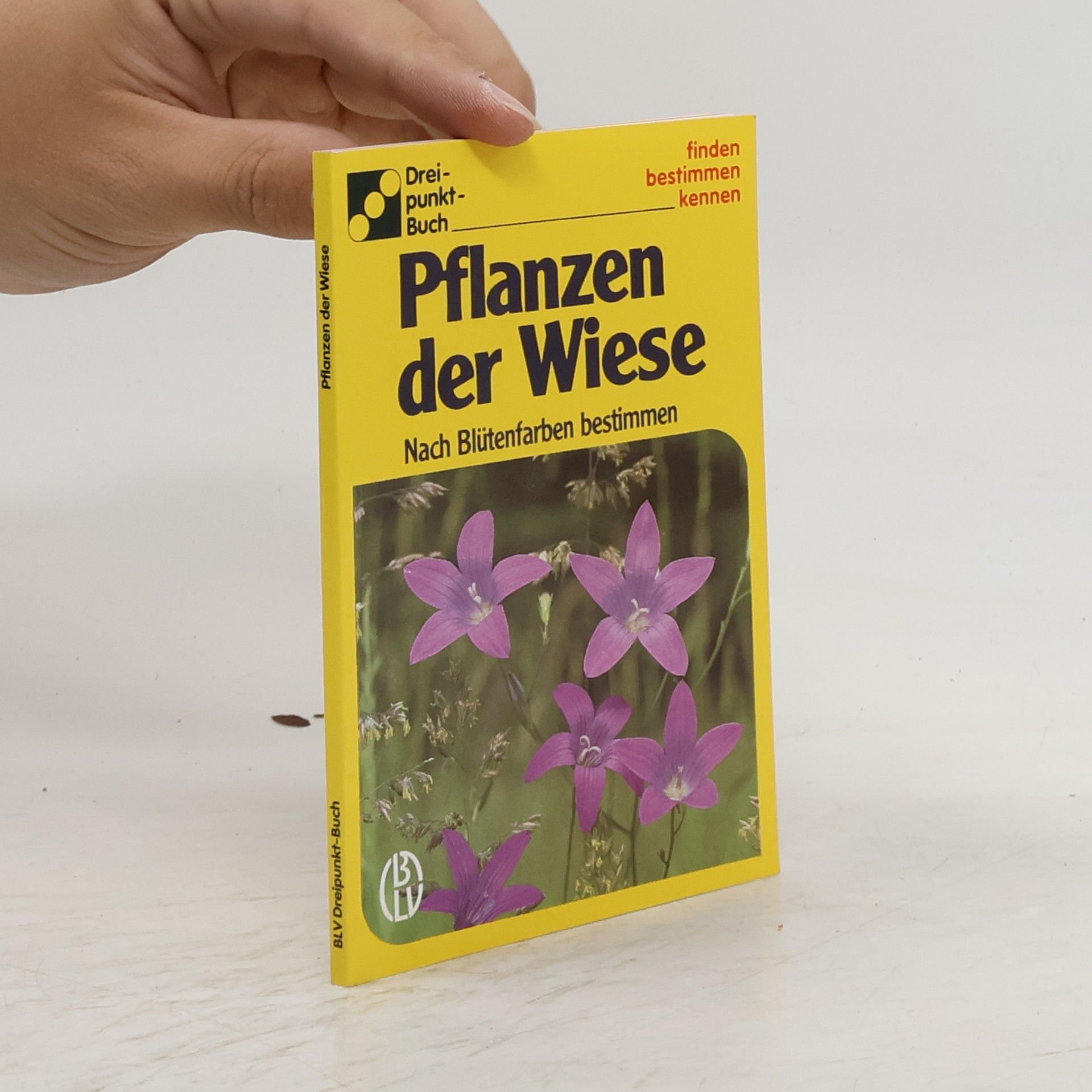 Alfred Handel Pflanzen der Wiese