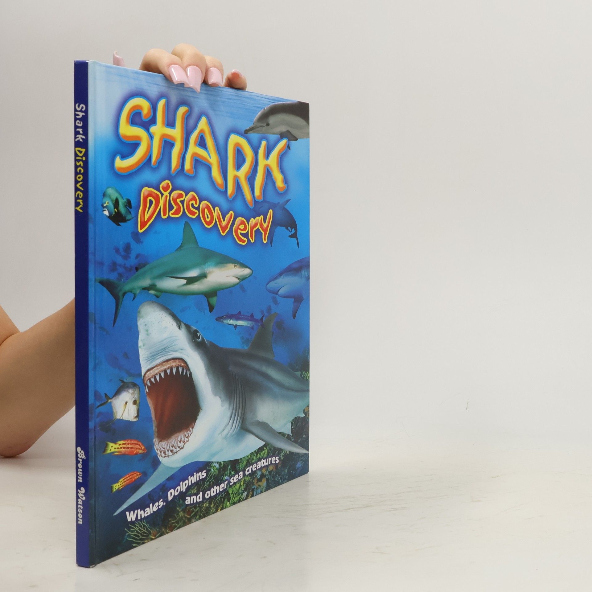 kolektiv Shark Discovery